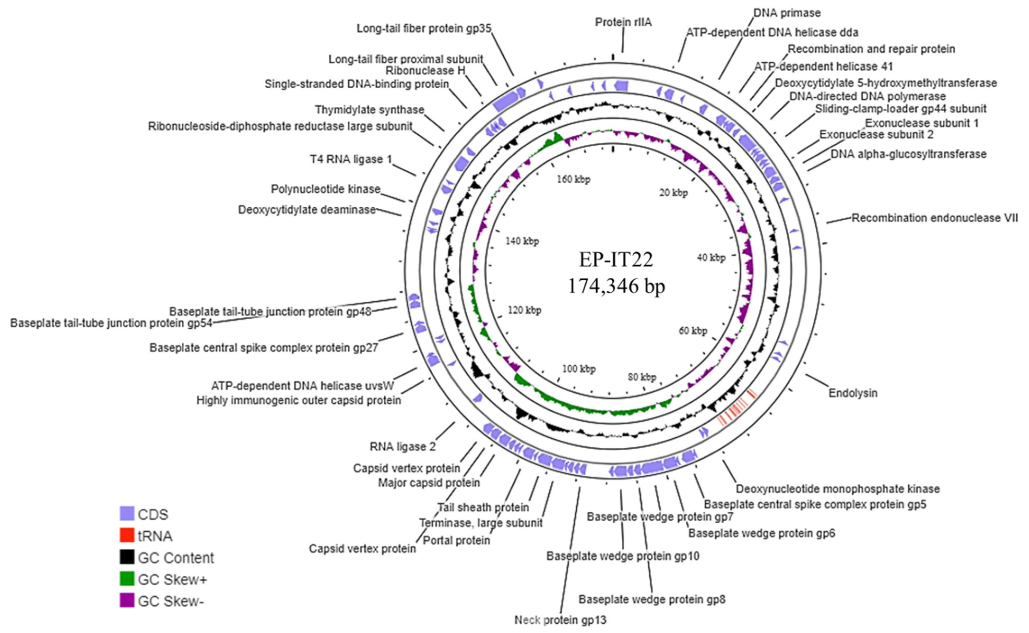 Viruses 14 02455 g002 Viruses 14 02455 g002