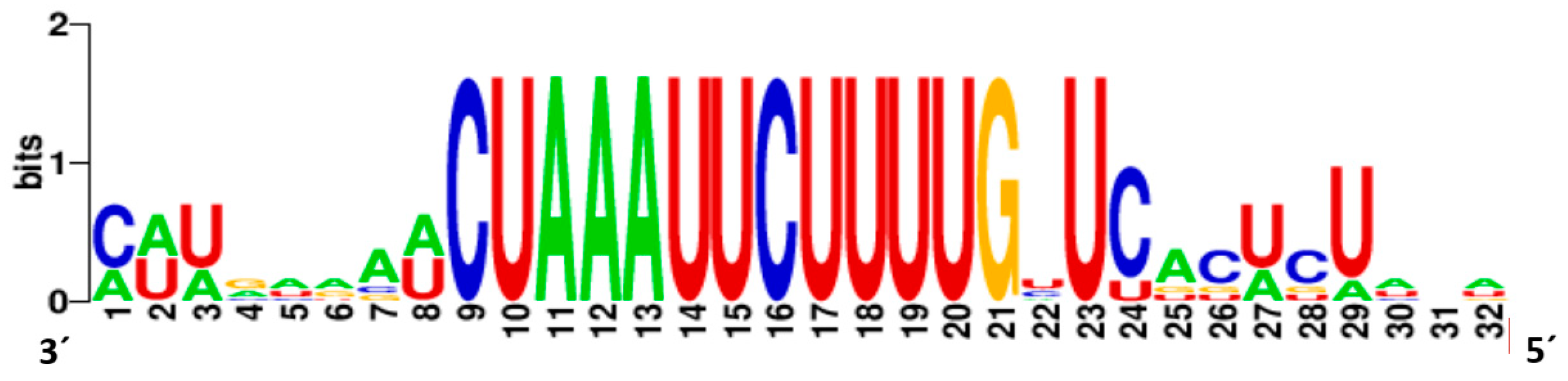 Viruses 14 02456 g004 Viruses 14 02456 g004