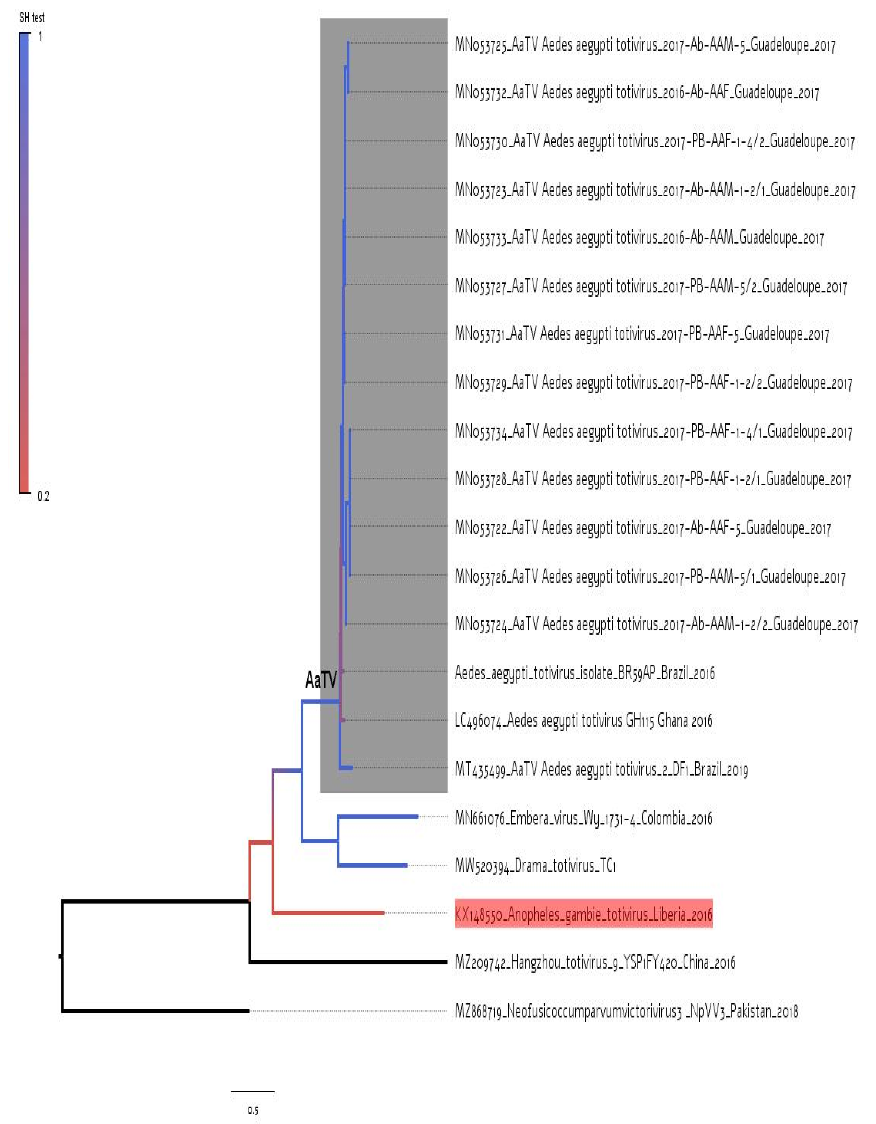 Viruses 14 02467 g001