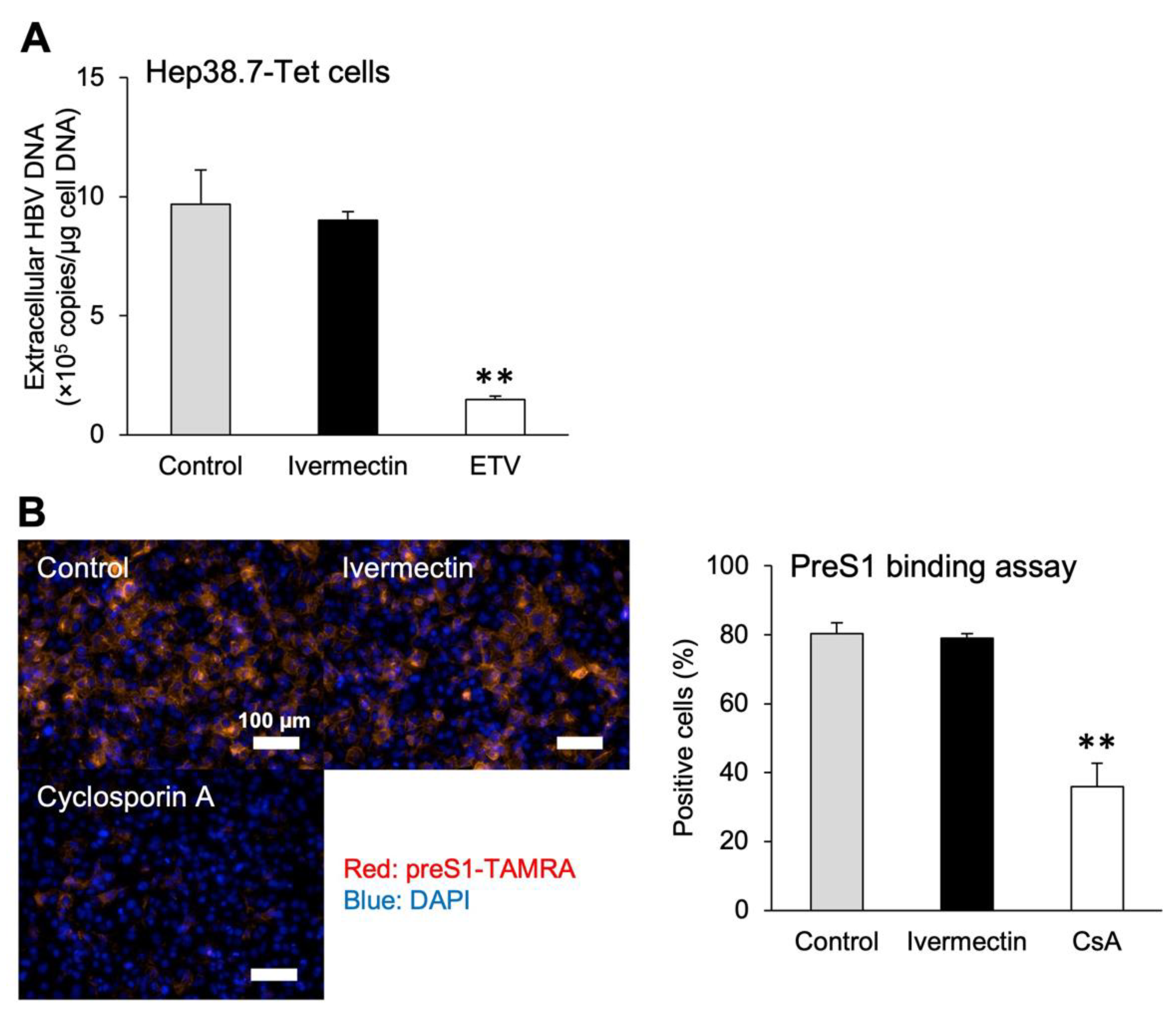 Viruses 14 02468 g003 Viruses 14 02468 g003