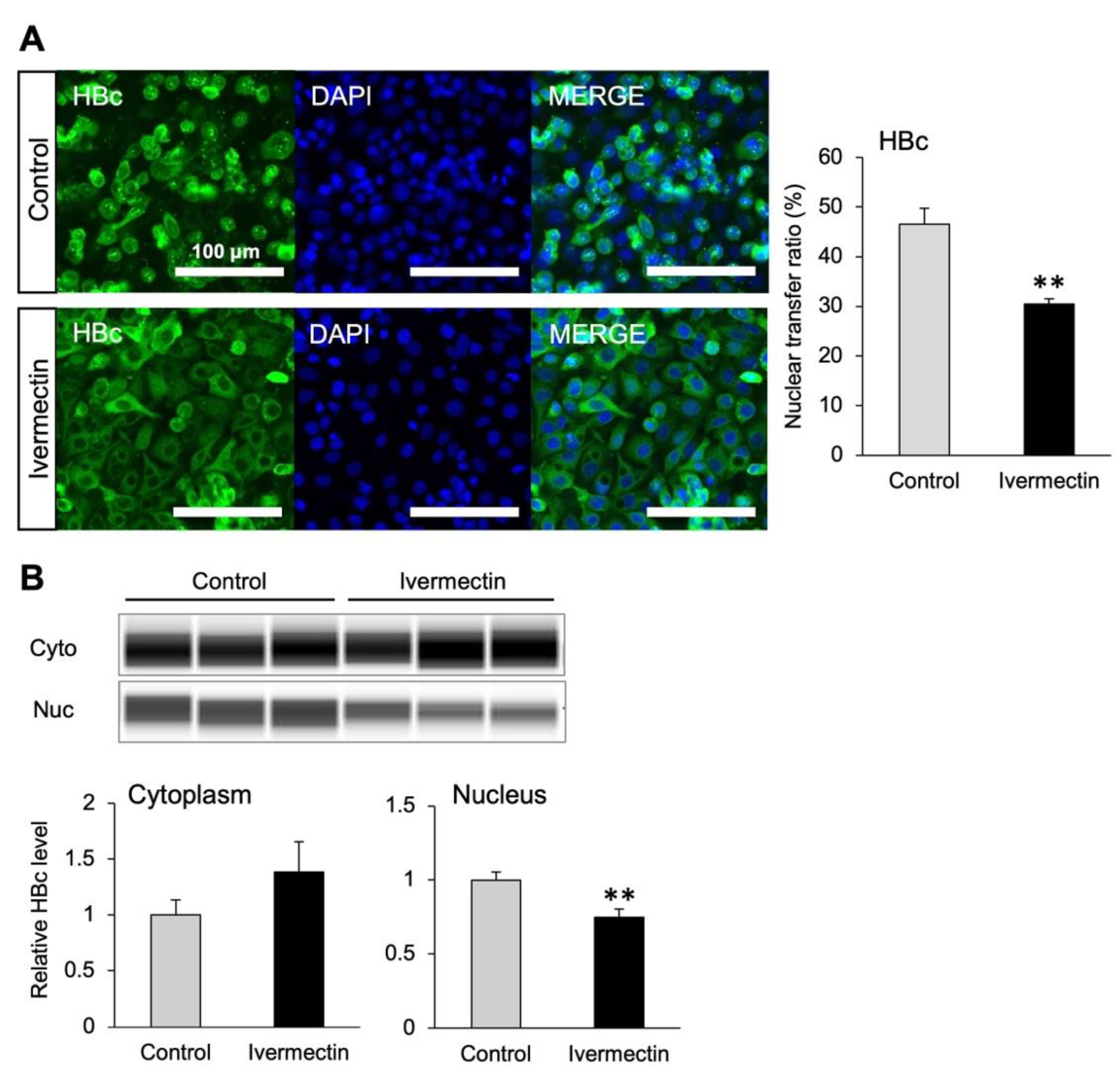 Viruses 14 02468 g004 Viruses 14 02468 g004