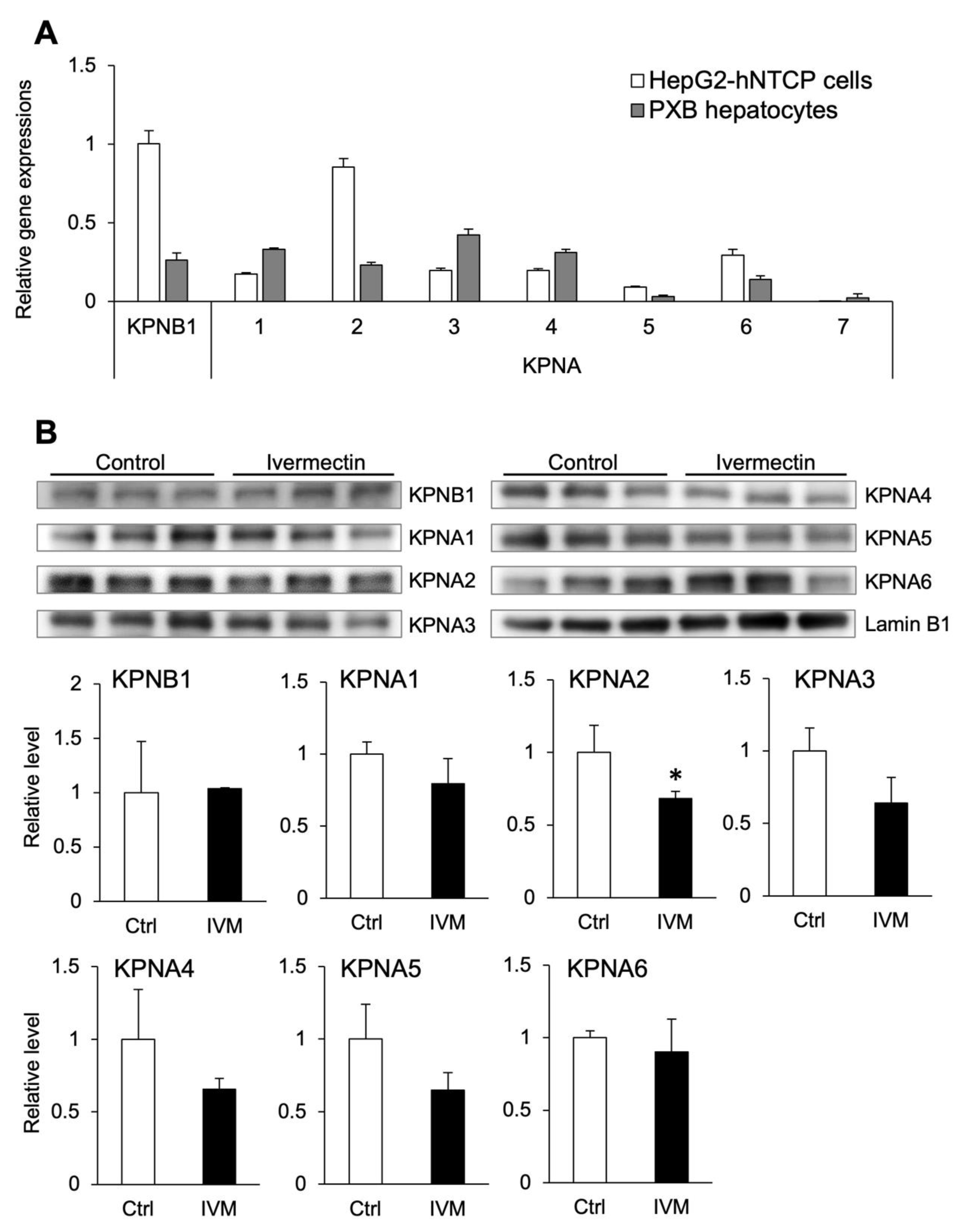 Viruses 14 02468 g005 Viruses 14 02468 g005