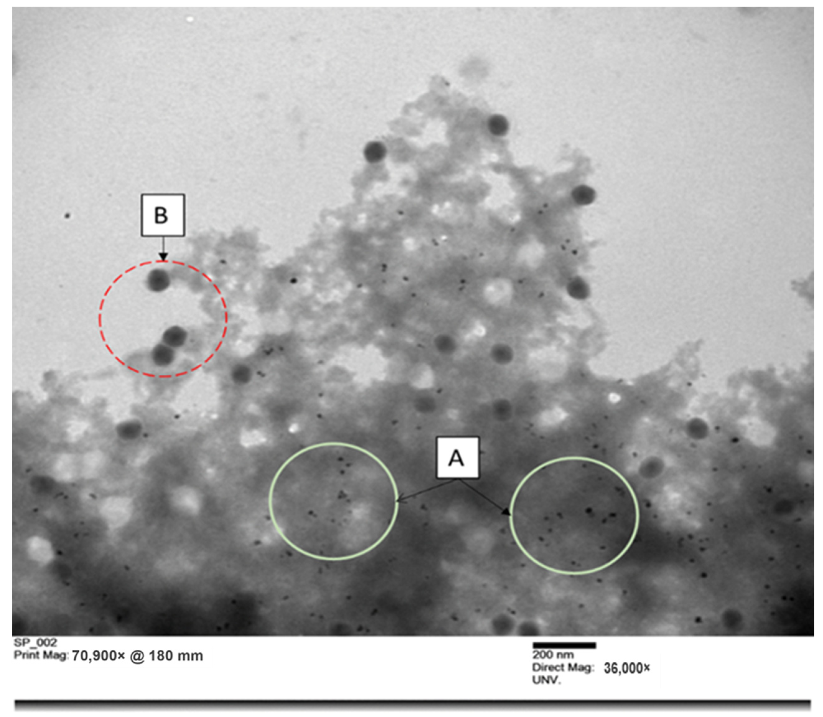 Viruses 14 02478 g006