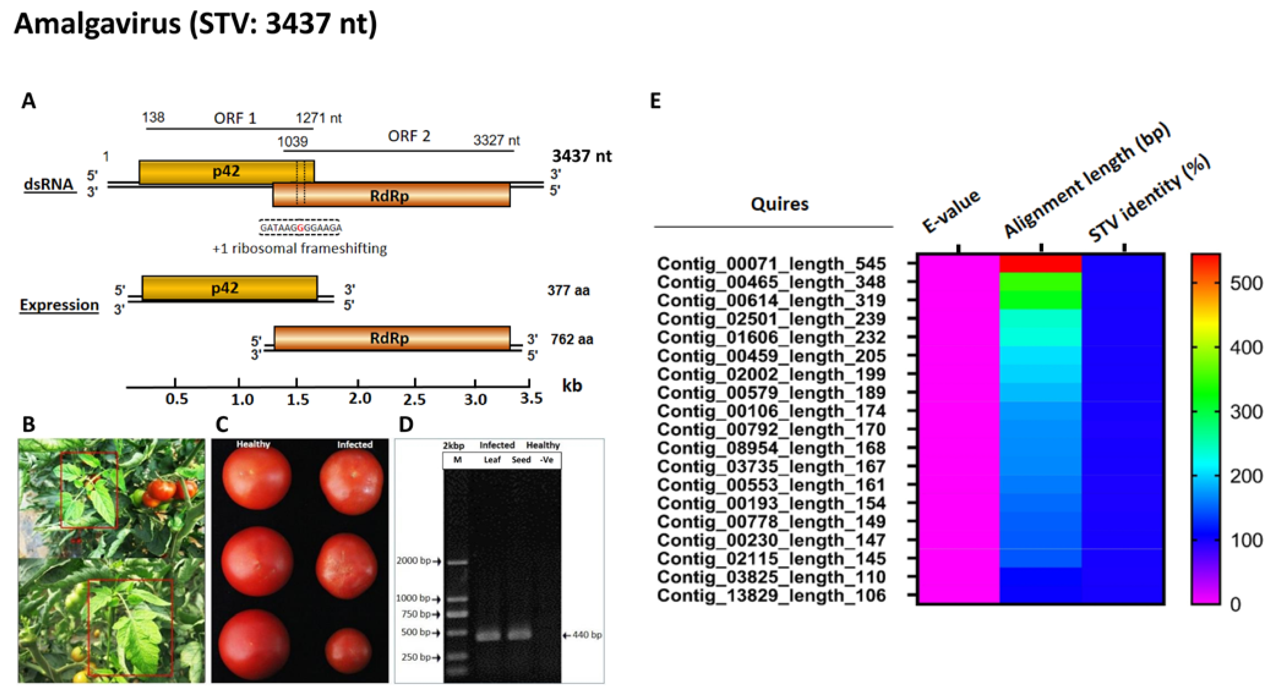 Viruses 14 02481 g001