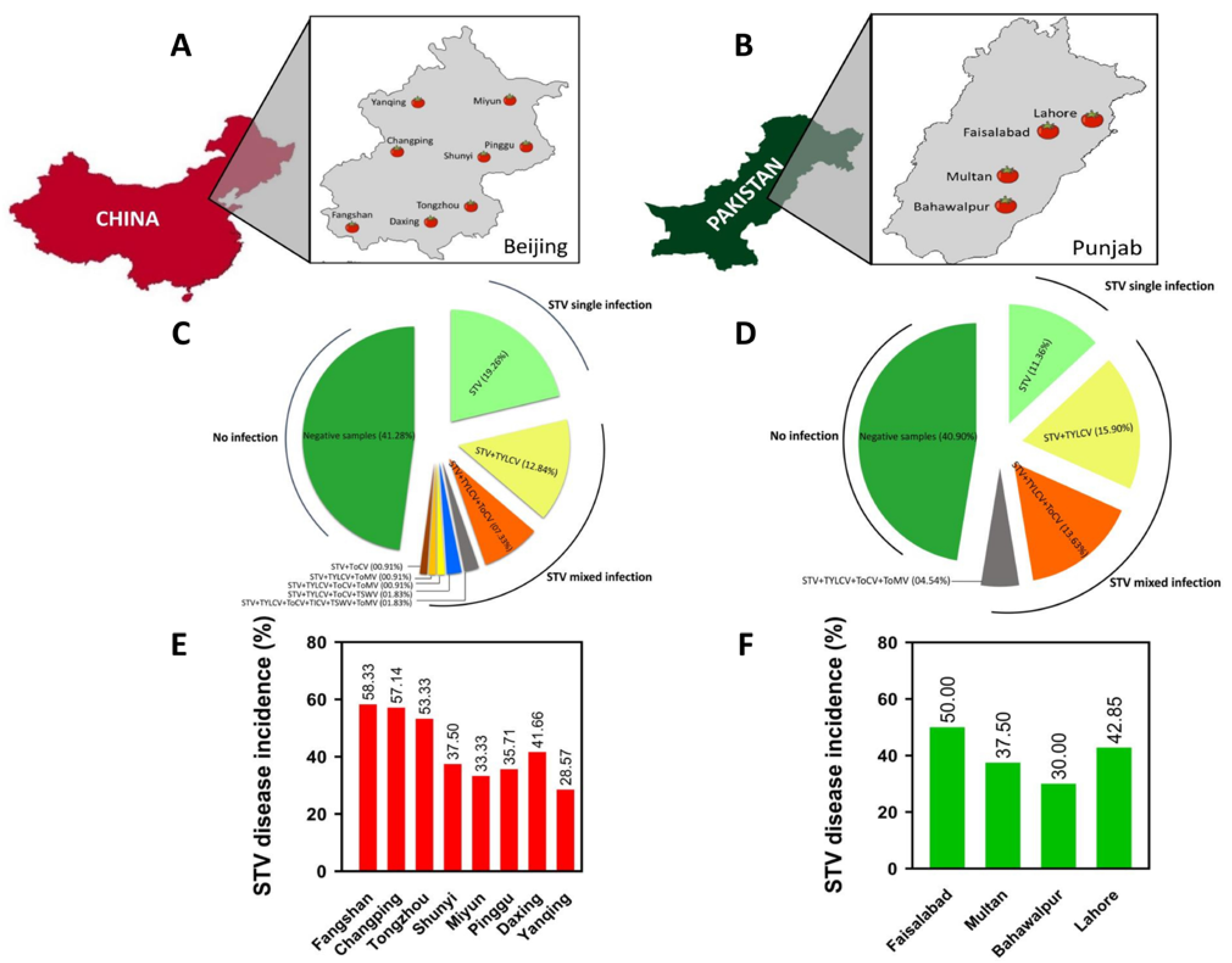 Viruses 14 02481 g002