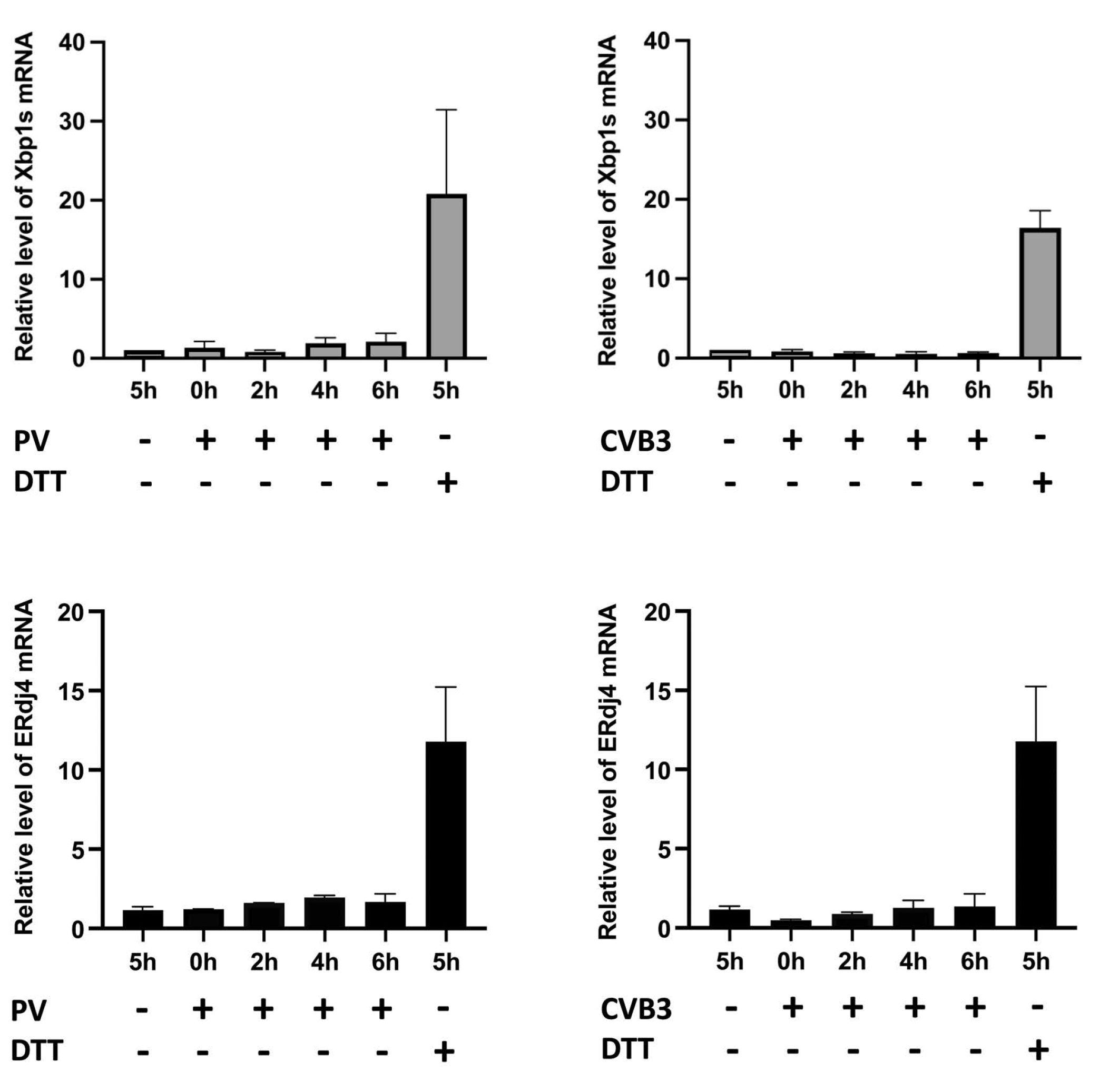 Viruses 14 02486 g004