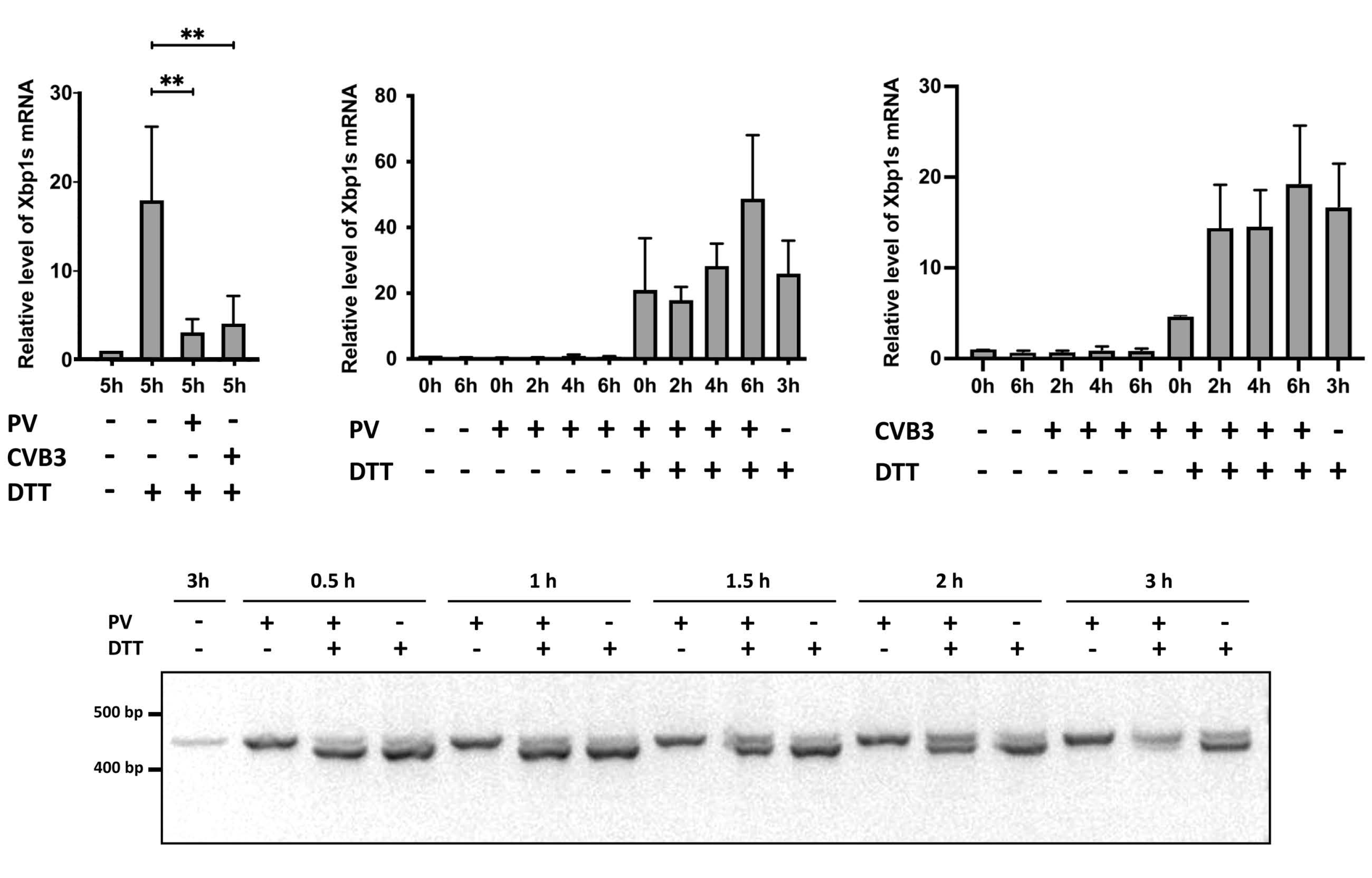 Viruses 14 02486 g005