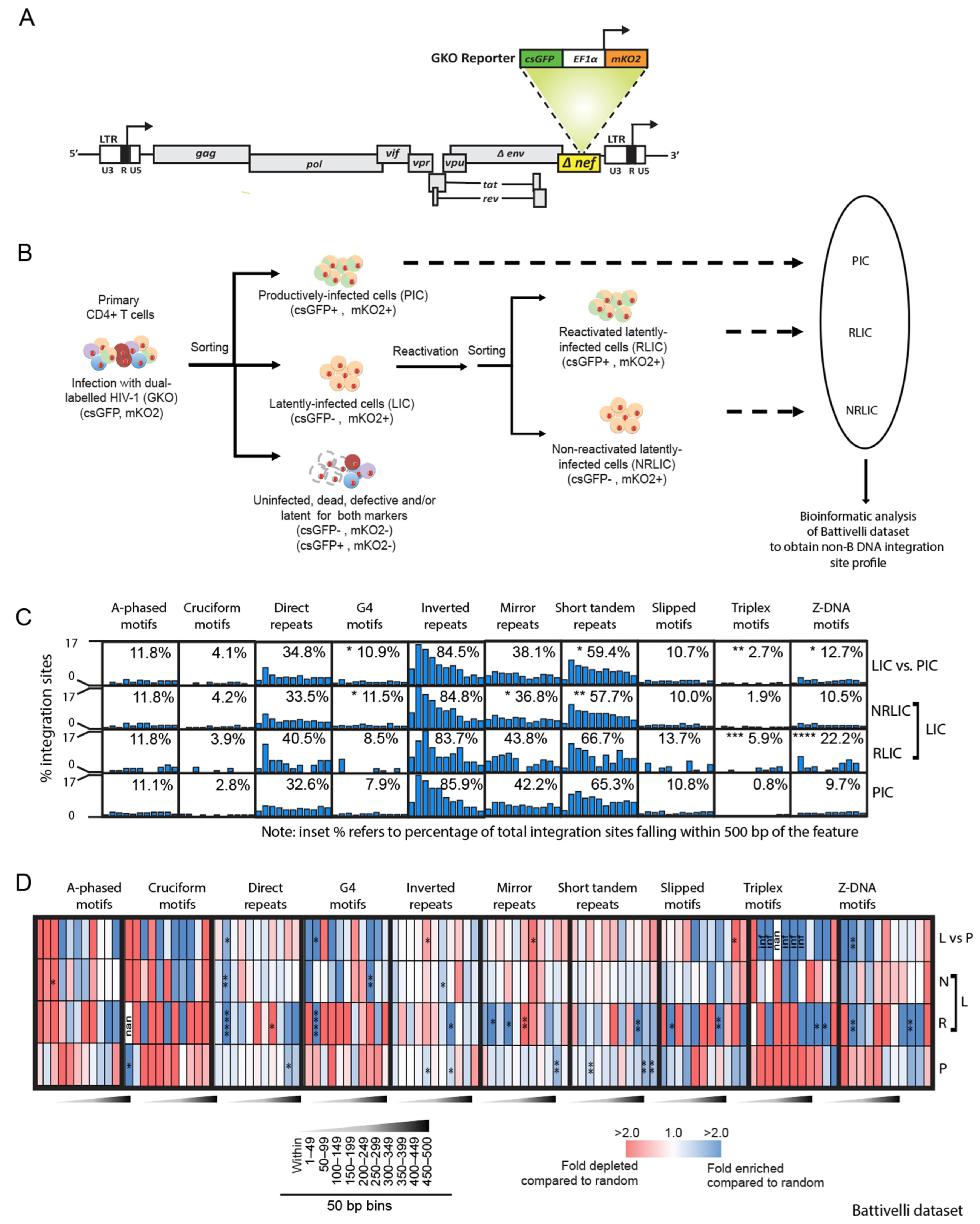 Viruses 14 02494 g001 Viruses 14 02494 g001