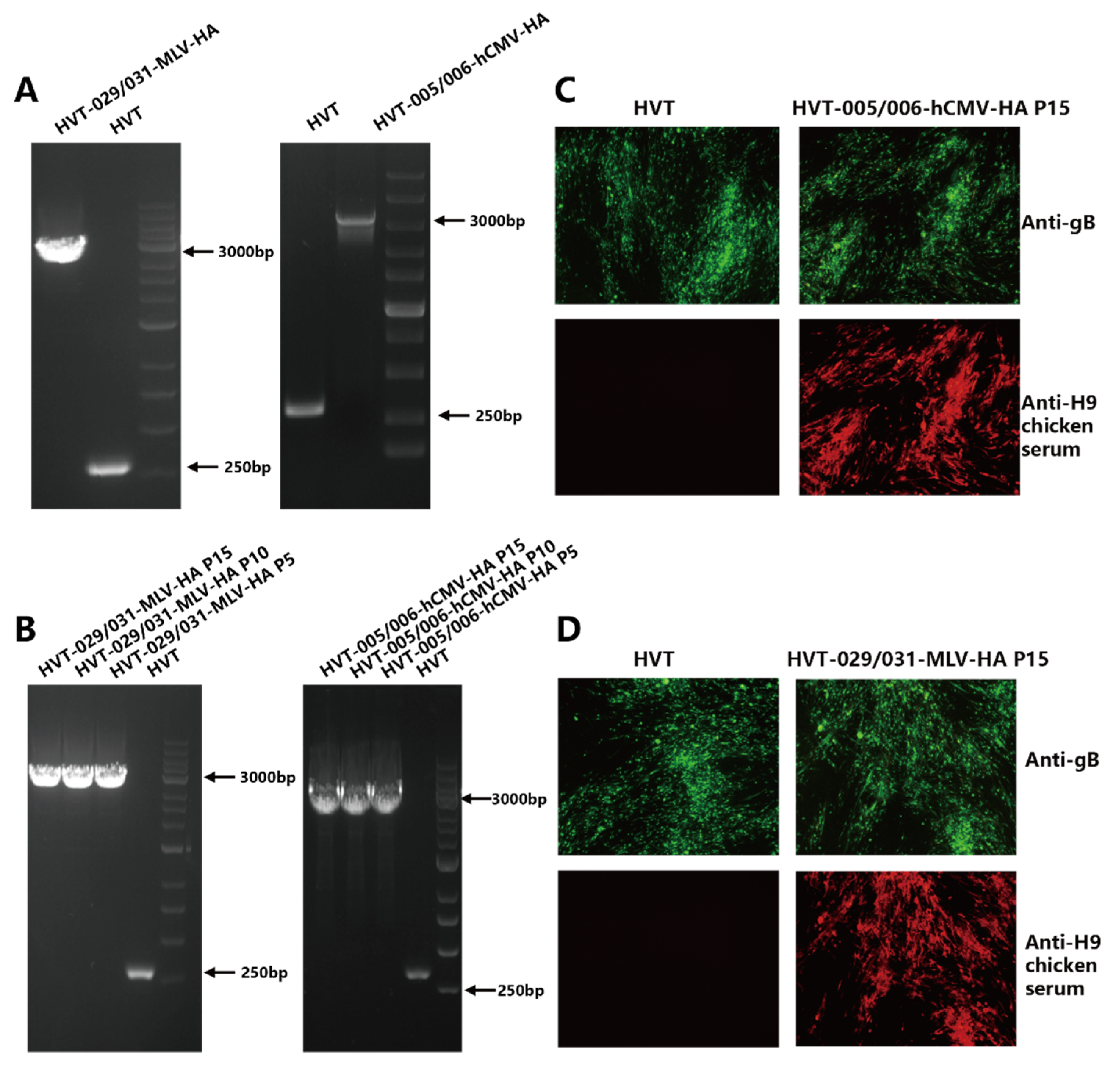 Viruses 14 02495 g001 Viruses 14 02495 g001