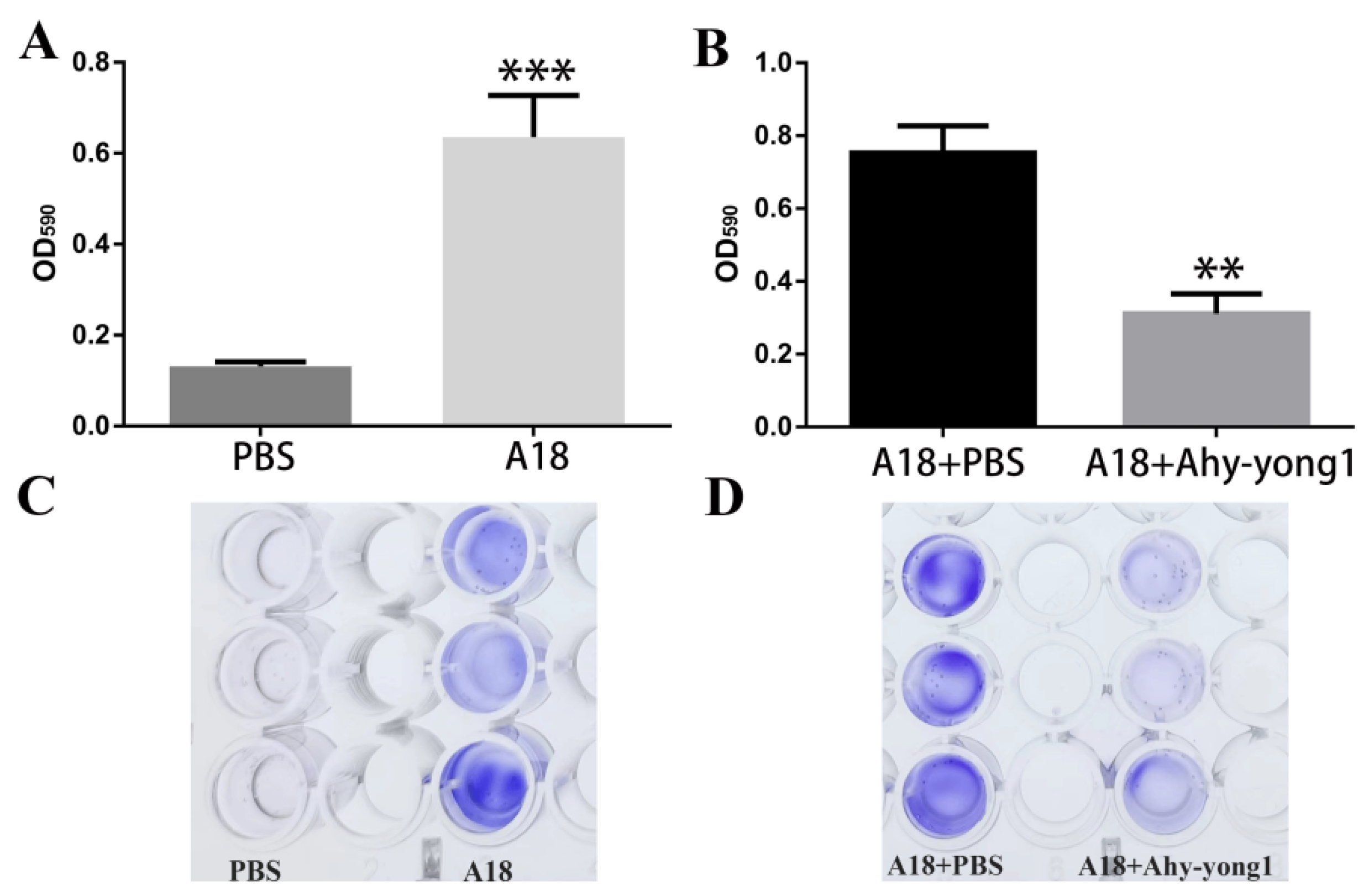 Viruses 14 02498 g004 Viruses 14 02498 g004
