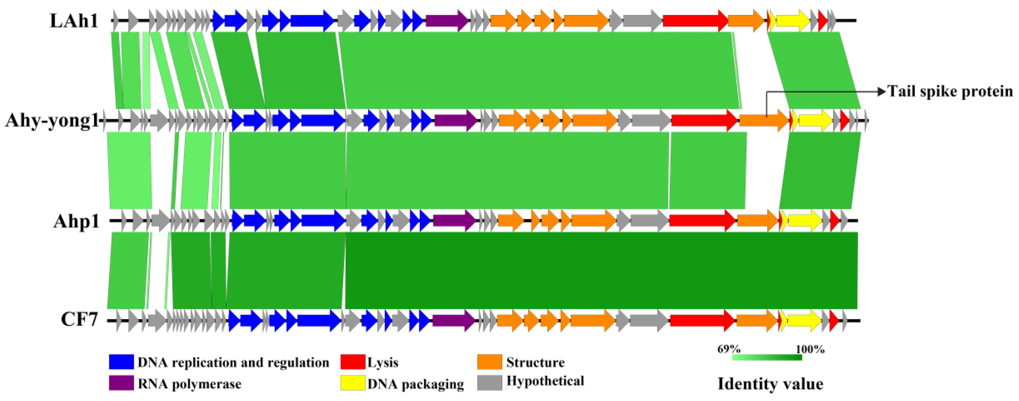 Viruses 14 02498 g006 Viruses 14 02498 g006