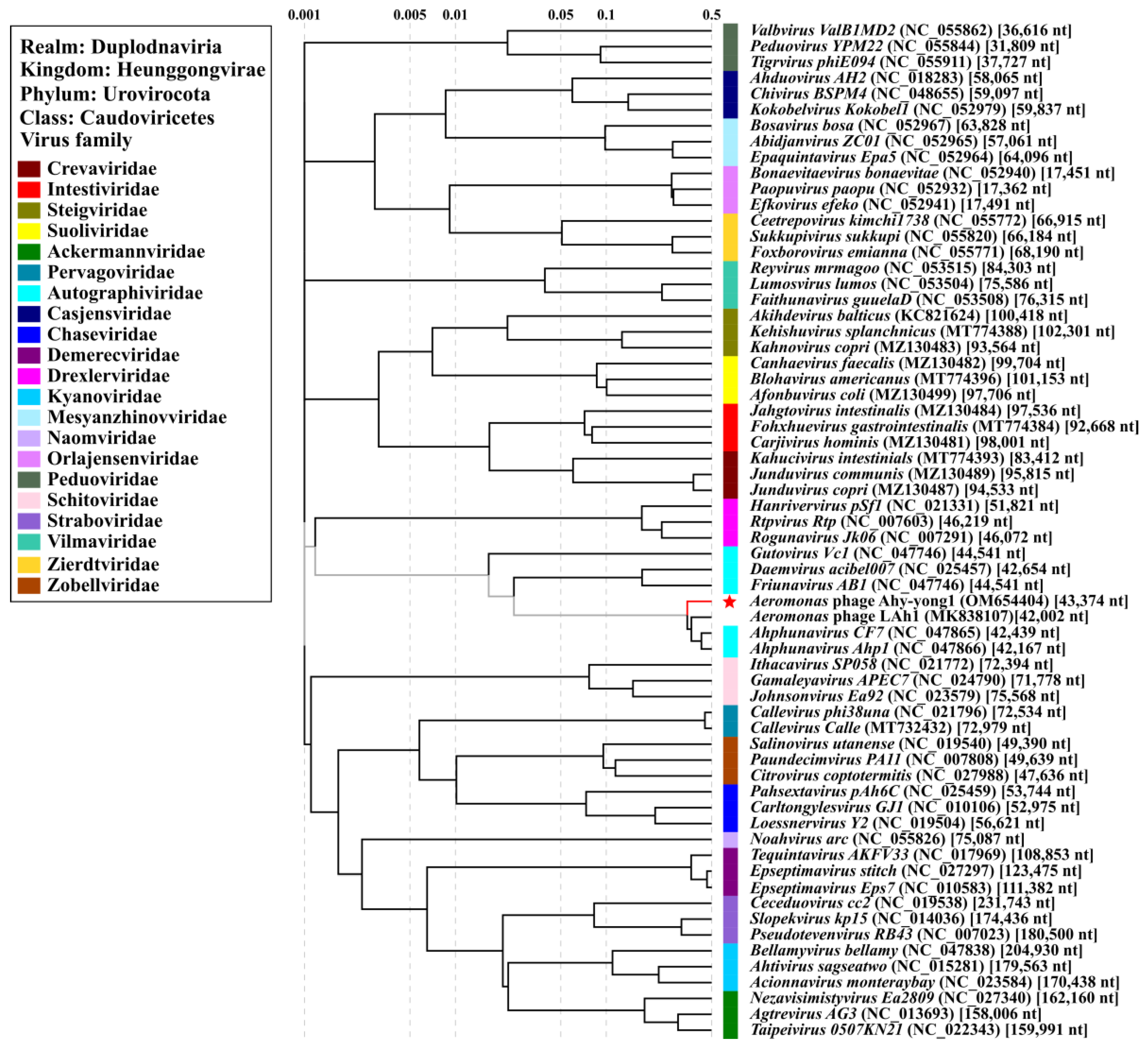 Viruses 14 02498 g007 Viruses 14 02498 g007