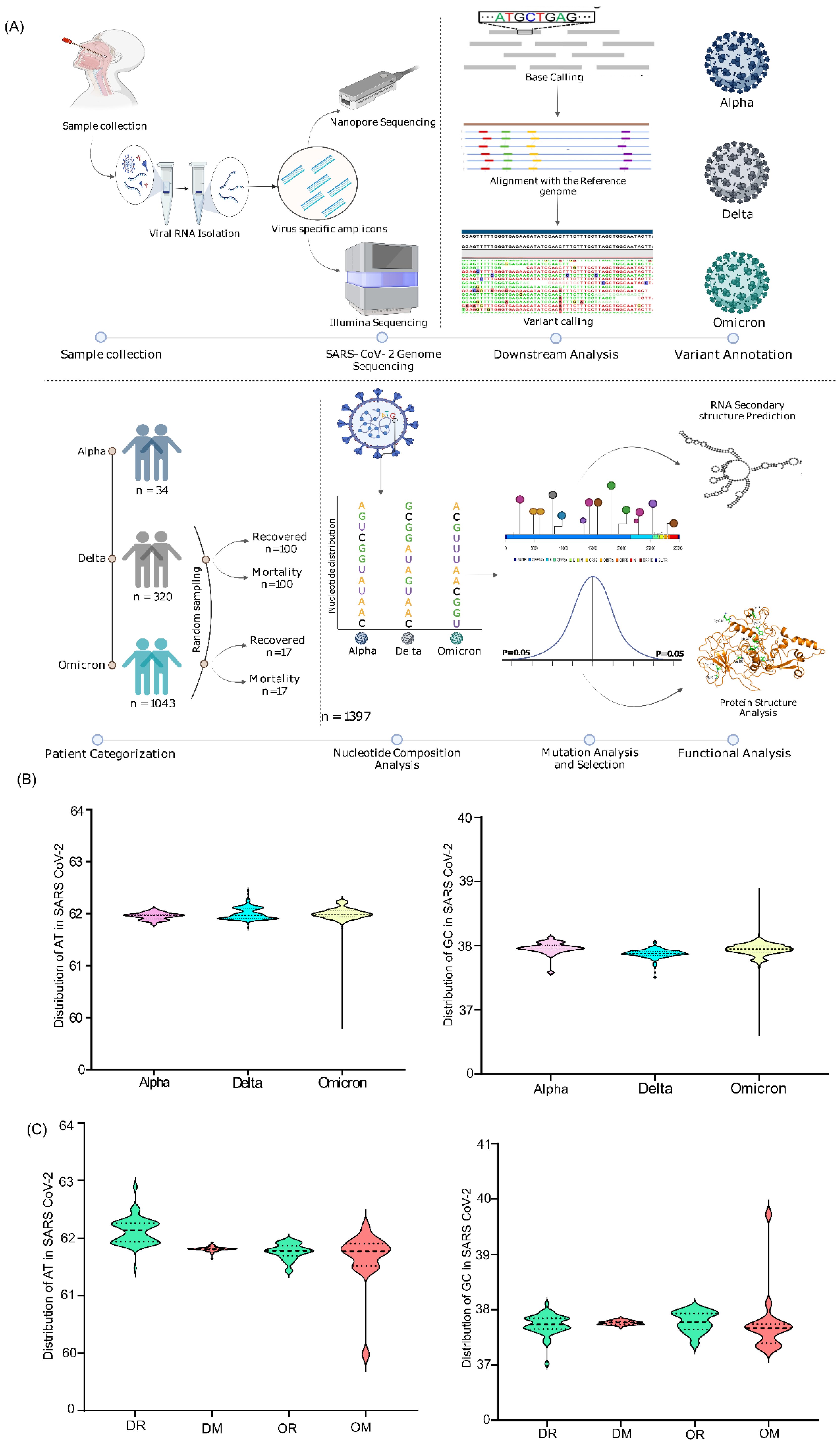 Viruses 14 02499 g001