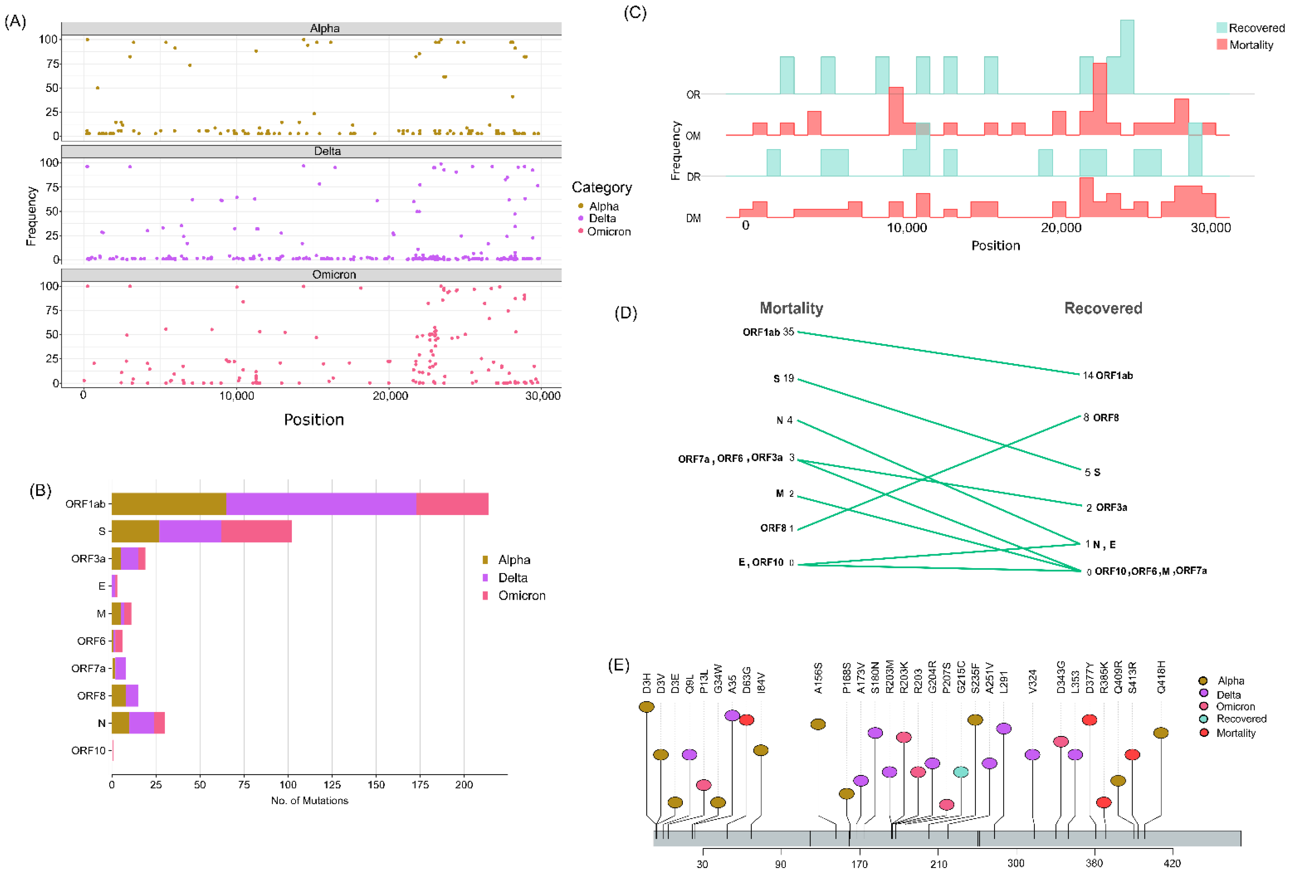 Viruses 14 02499 g004