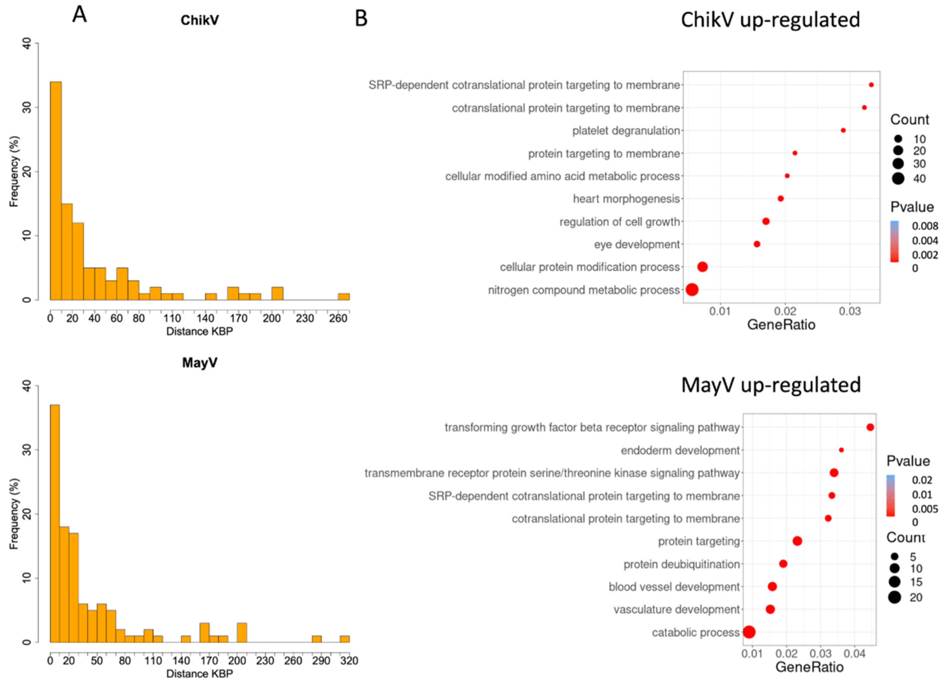 Viruses 14 02505 g003 Viruses 14 02505 g003