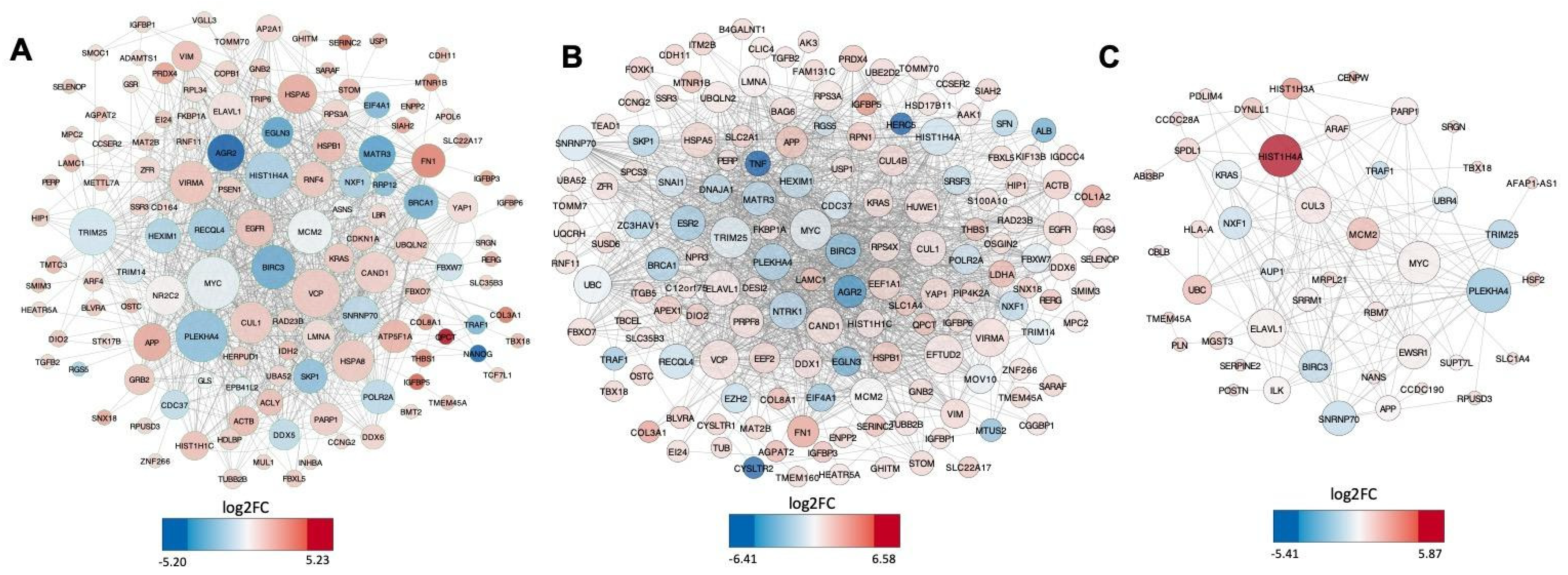 Viruses 14 02505 g004 Viruses 14 02505 g004