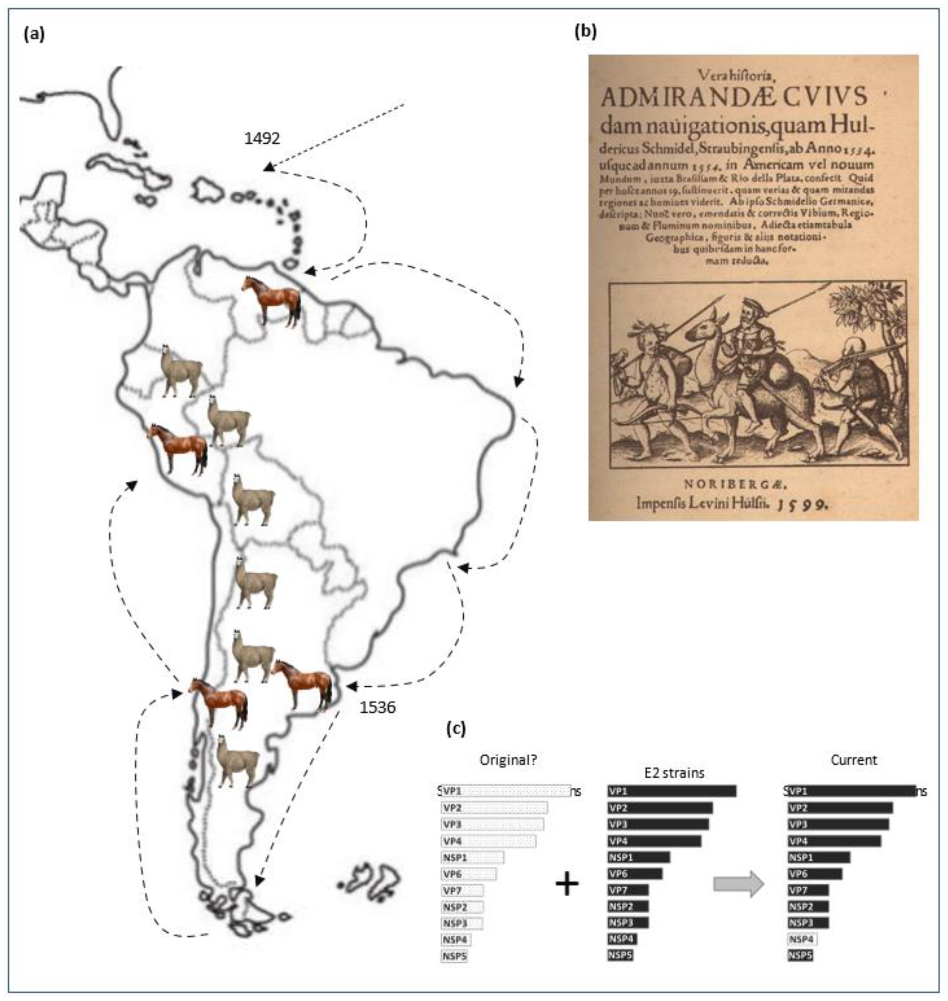 Viruses 14 02506 g002 Viruses 14 02506 g002