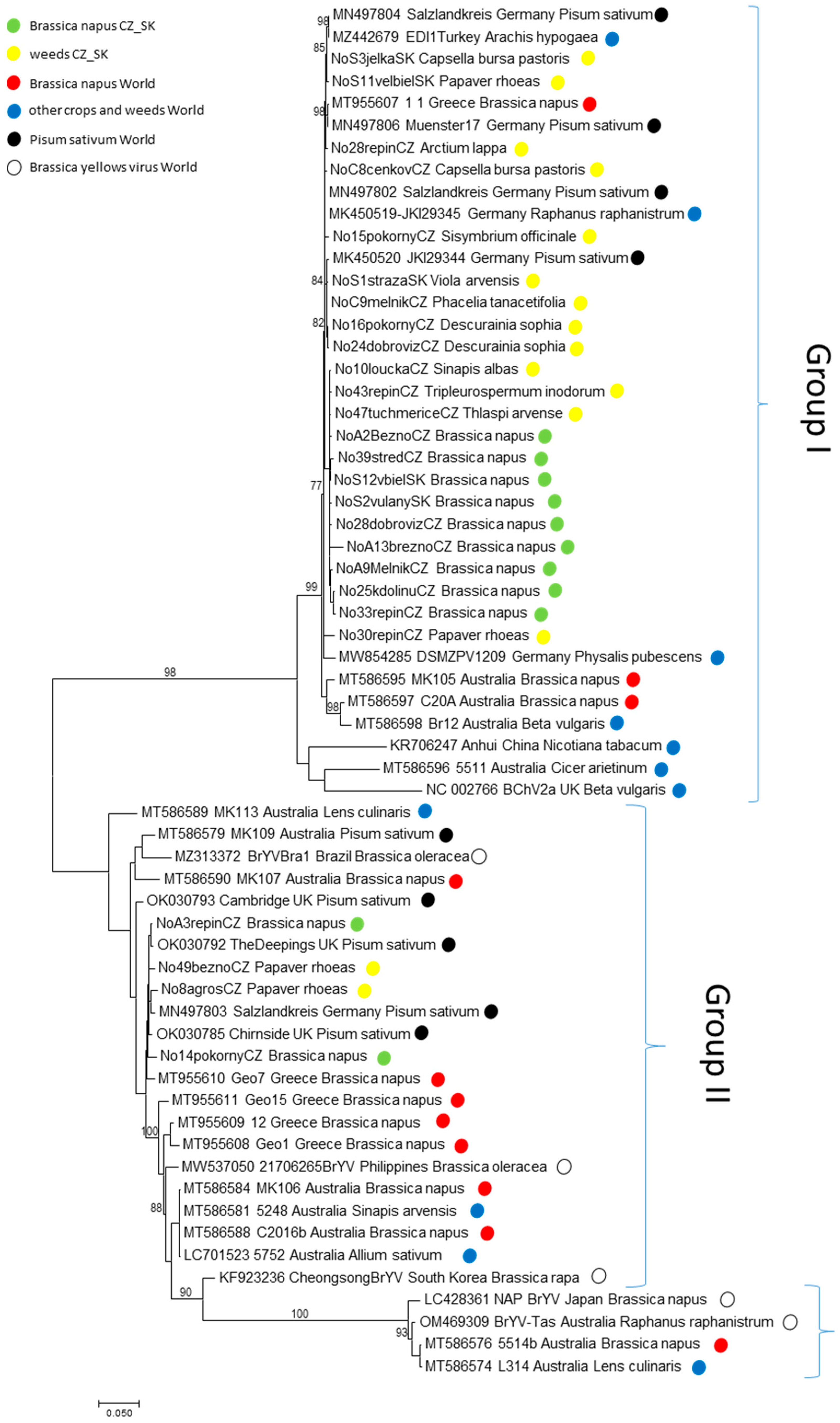 Viruses 14 02511 g005 Viruses 14 02511 g005