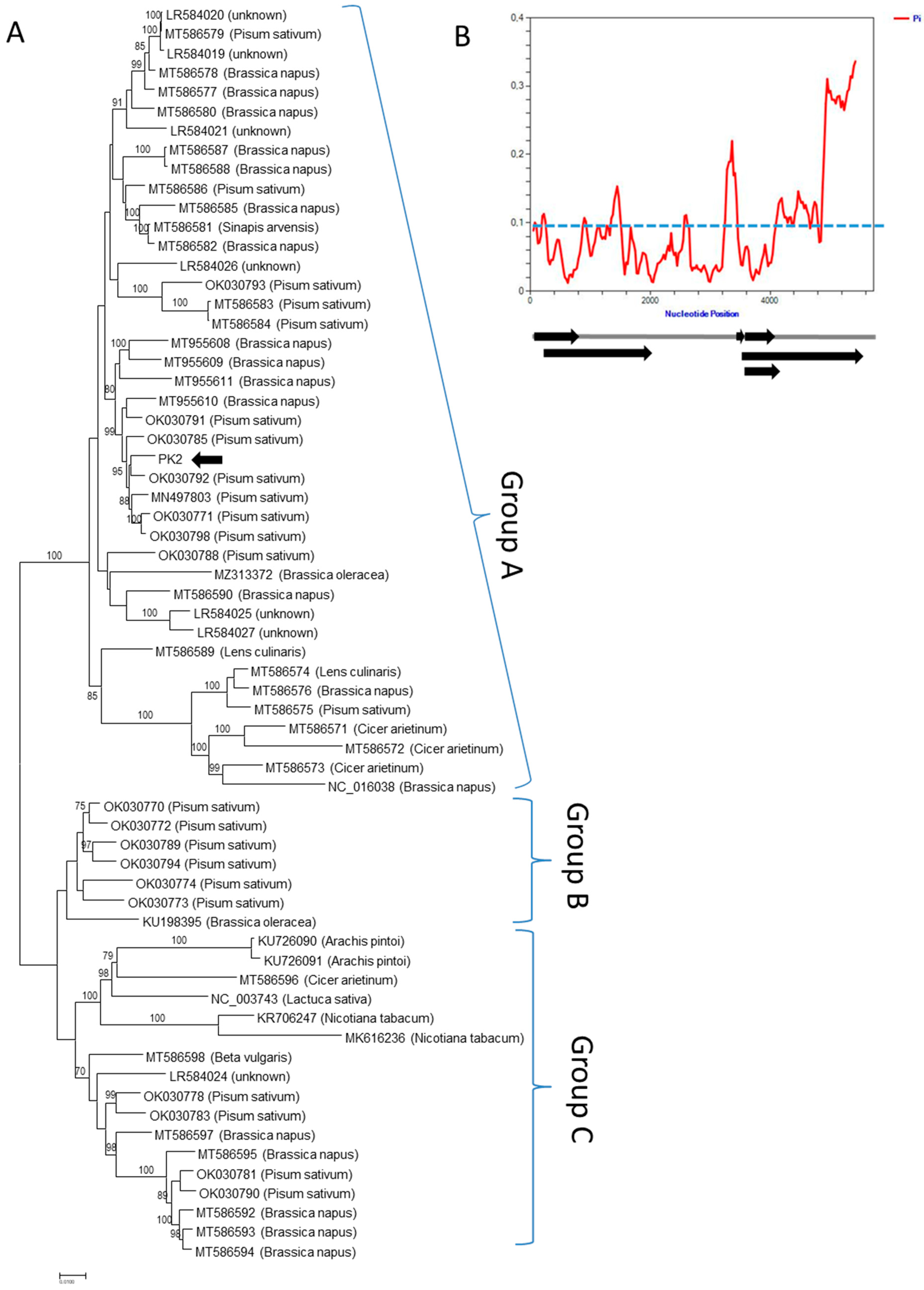 Viruses 14 02511 g006 Viruses 14 02511 g006