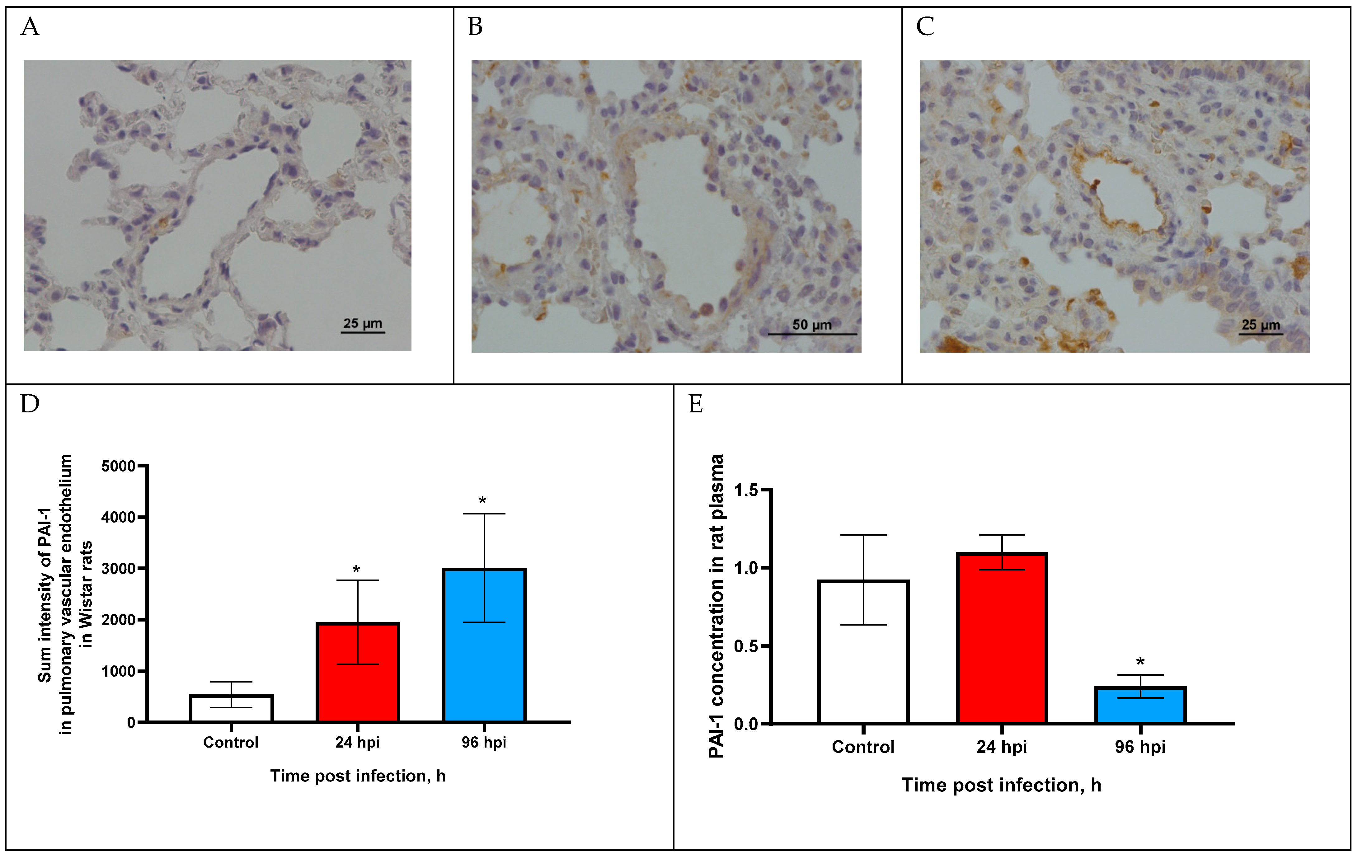 Viruses 14 02518 g003 Viruses 14 02518 g003
