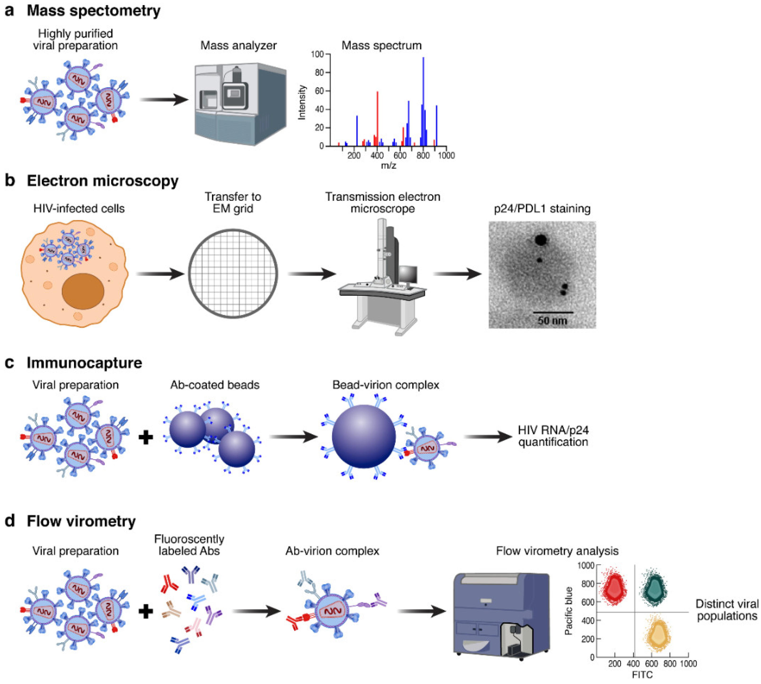 Viruses 14 02523 g001