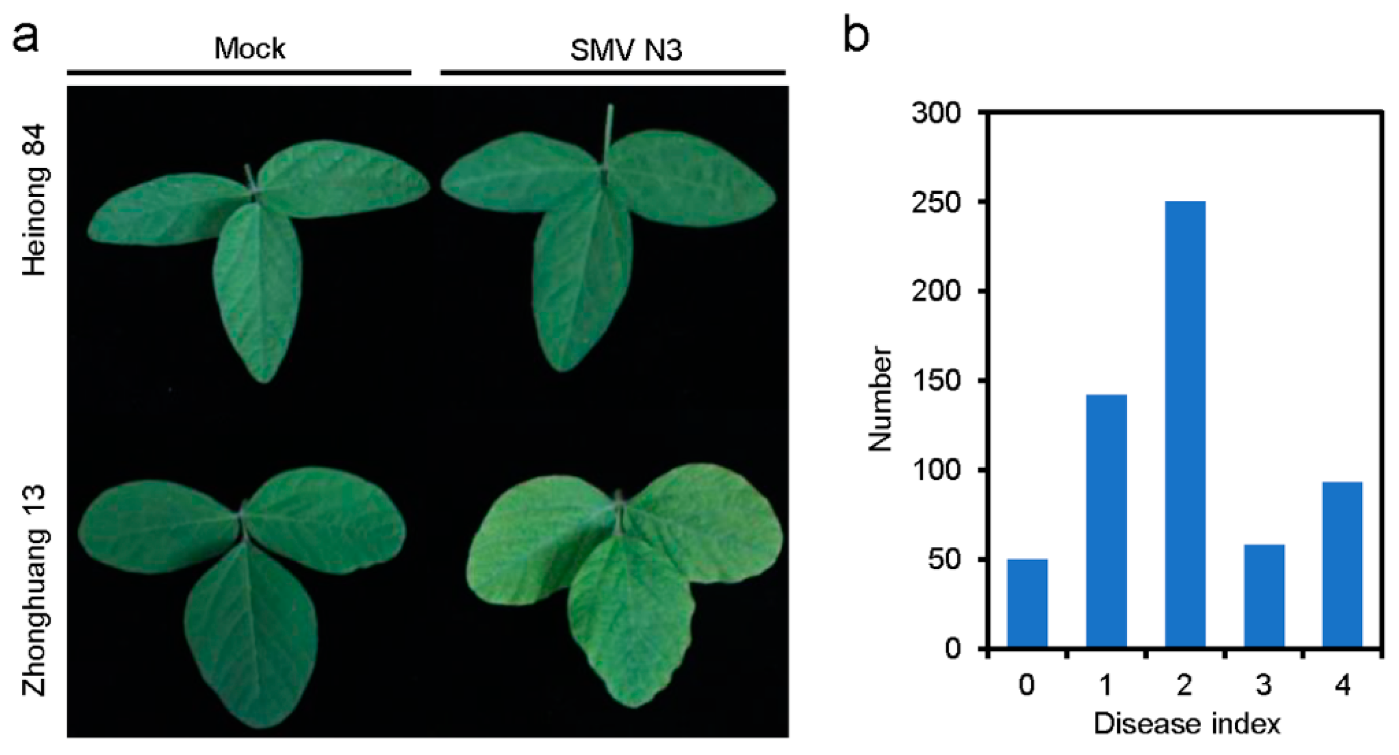 Viruses 14 02533 g001 Viruses 14 02533 g001