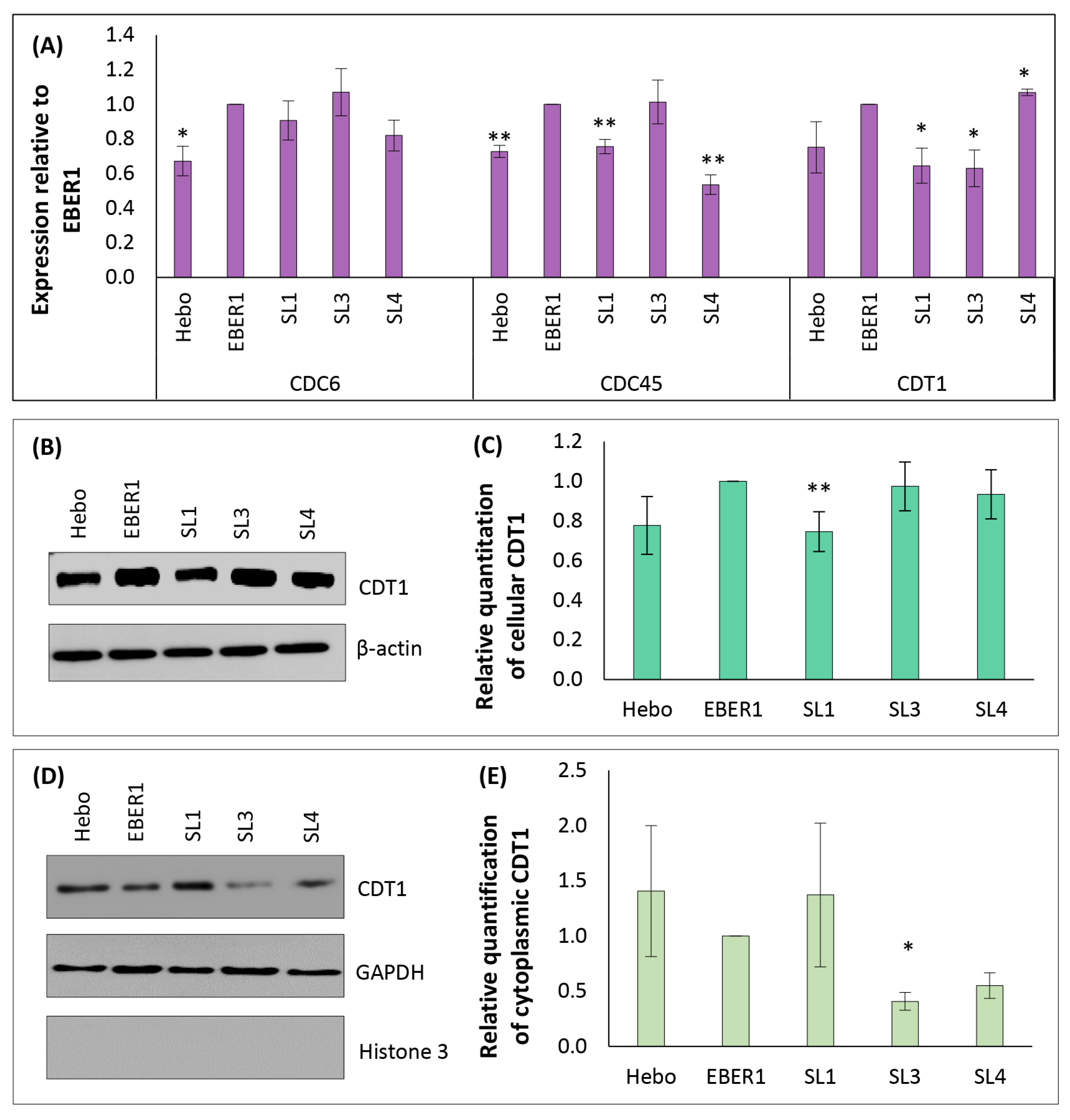 Viruses 14 02538 g009 Viruses 14 02538 g009