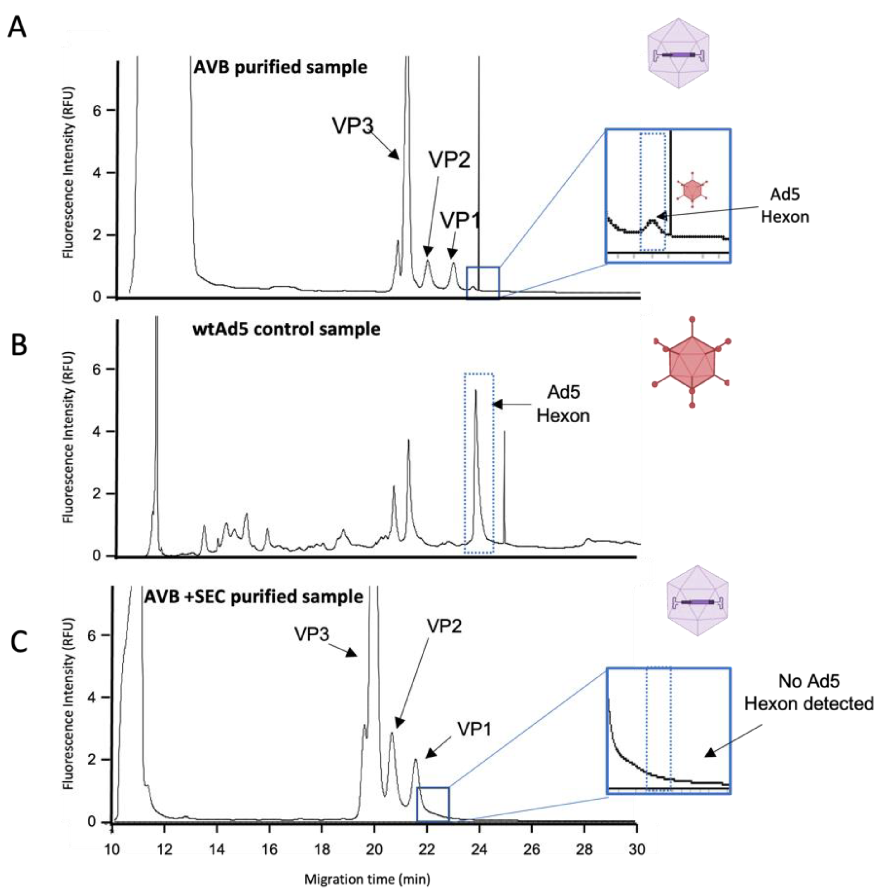 Viruses 14 02539 g004 Viruses 14 02539 g004