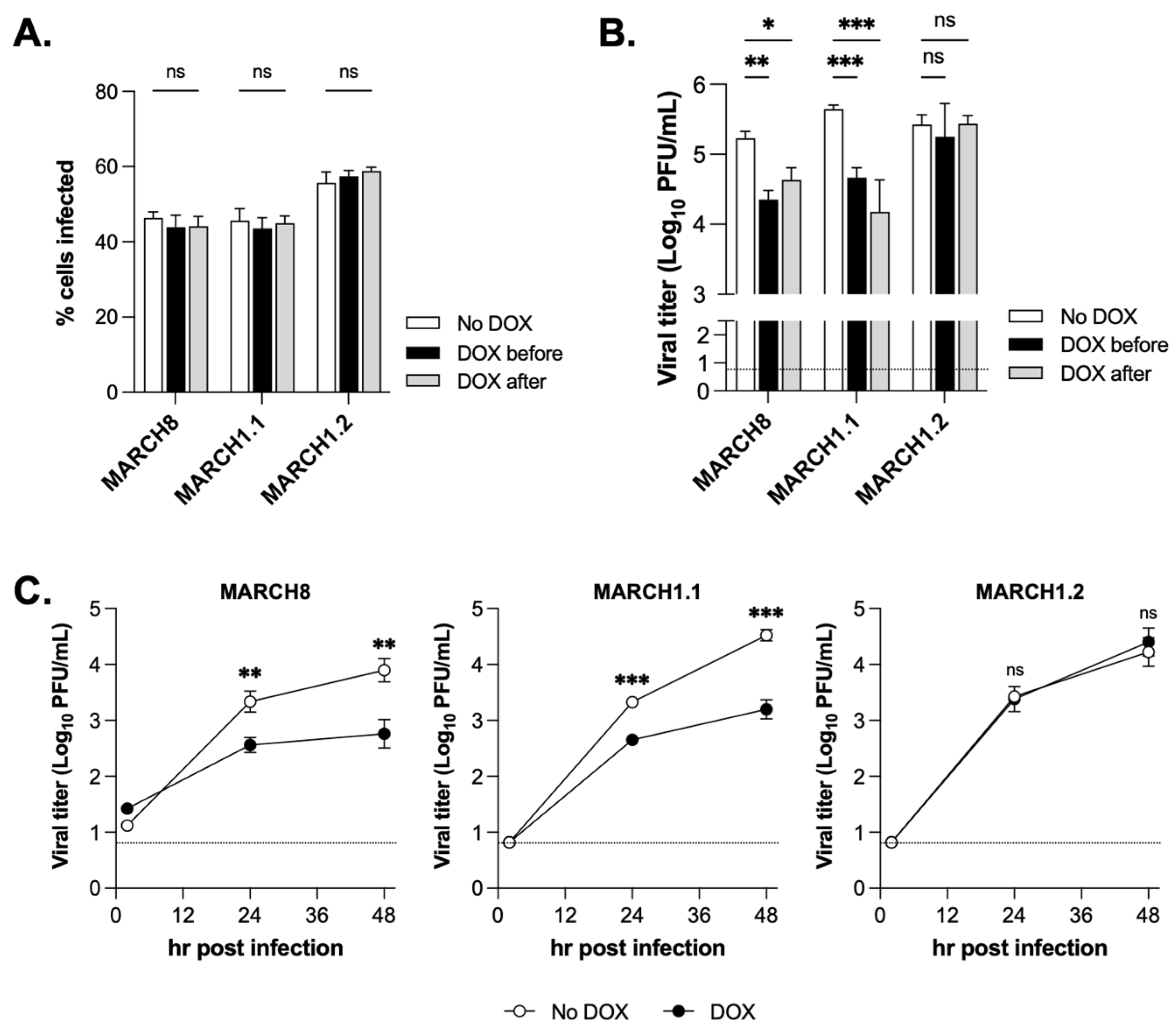 Viruses 14 02549 g002