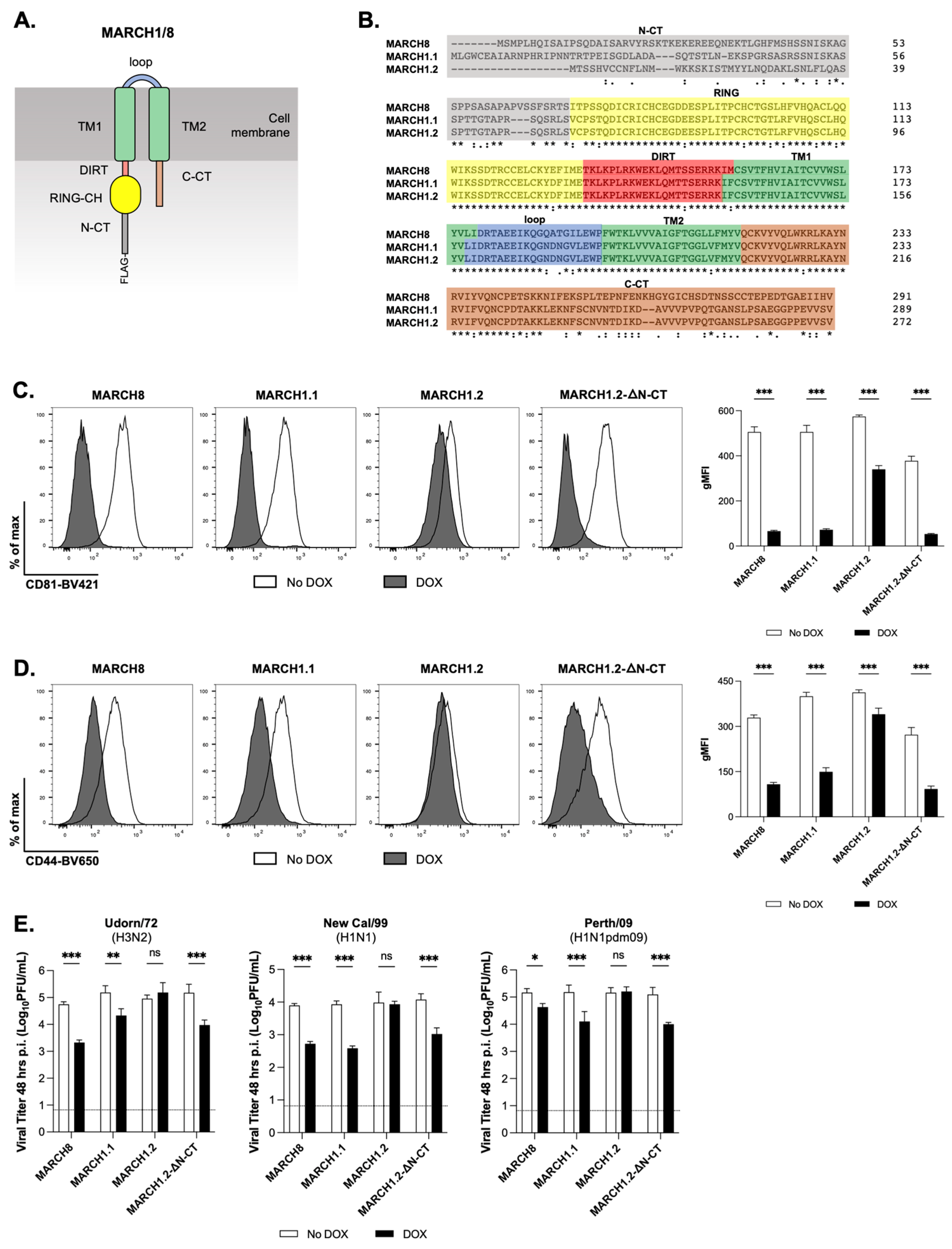 Viruses 14 02549 g003