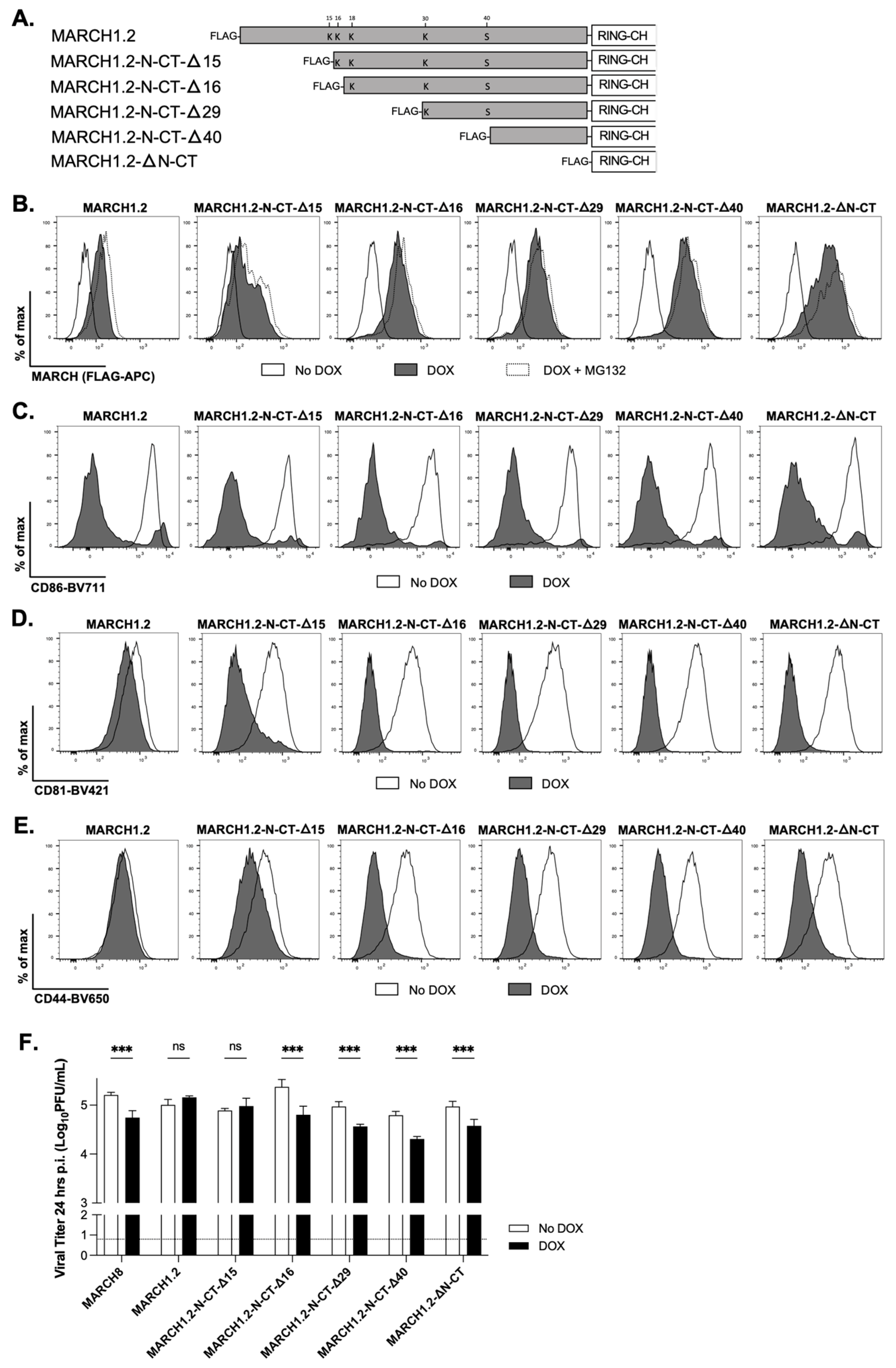 Viruses 14 02549 g004