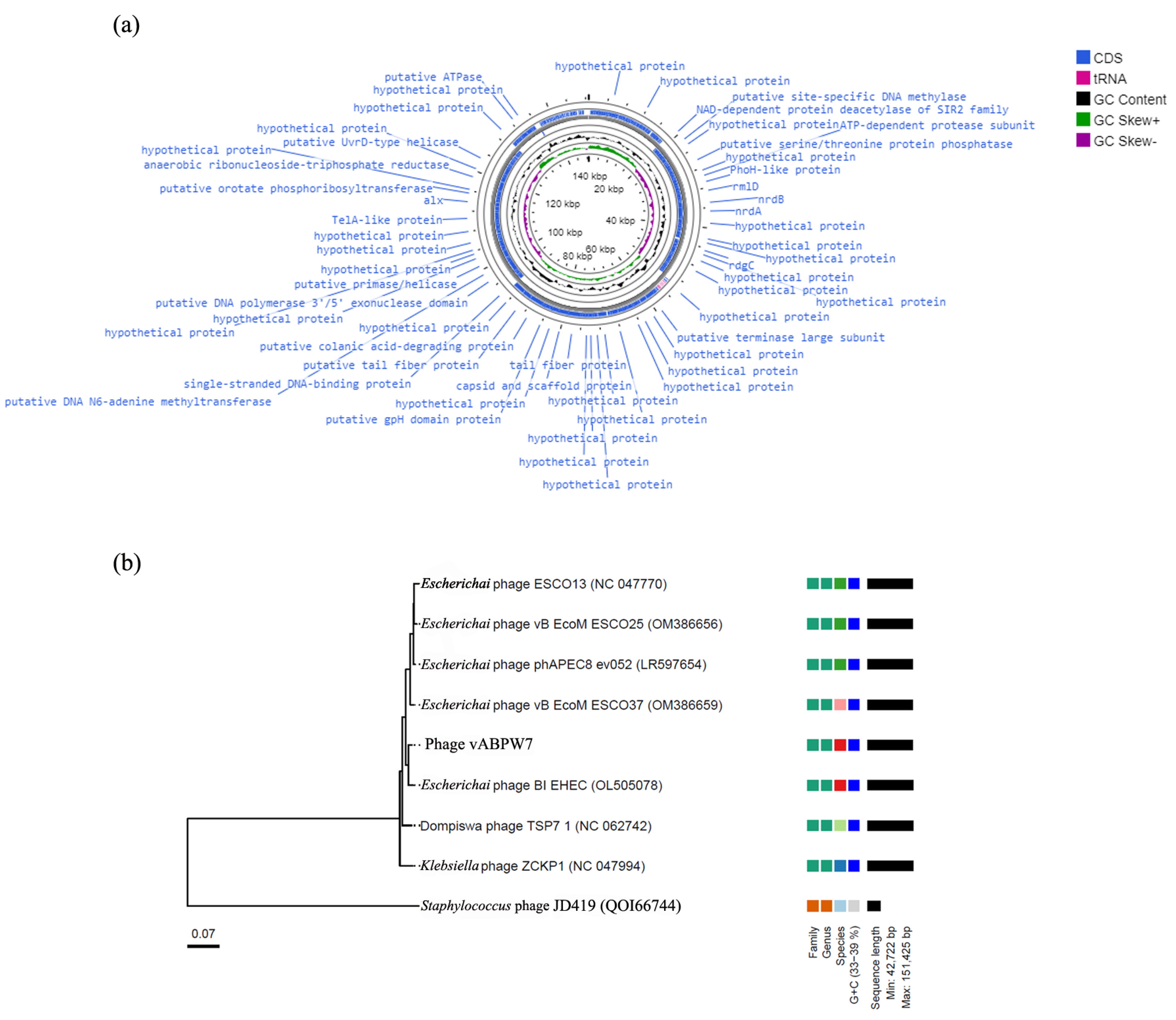 Viruses 14 02561 g004 Viruses 14 02561 g004