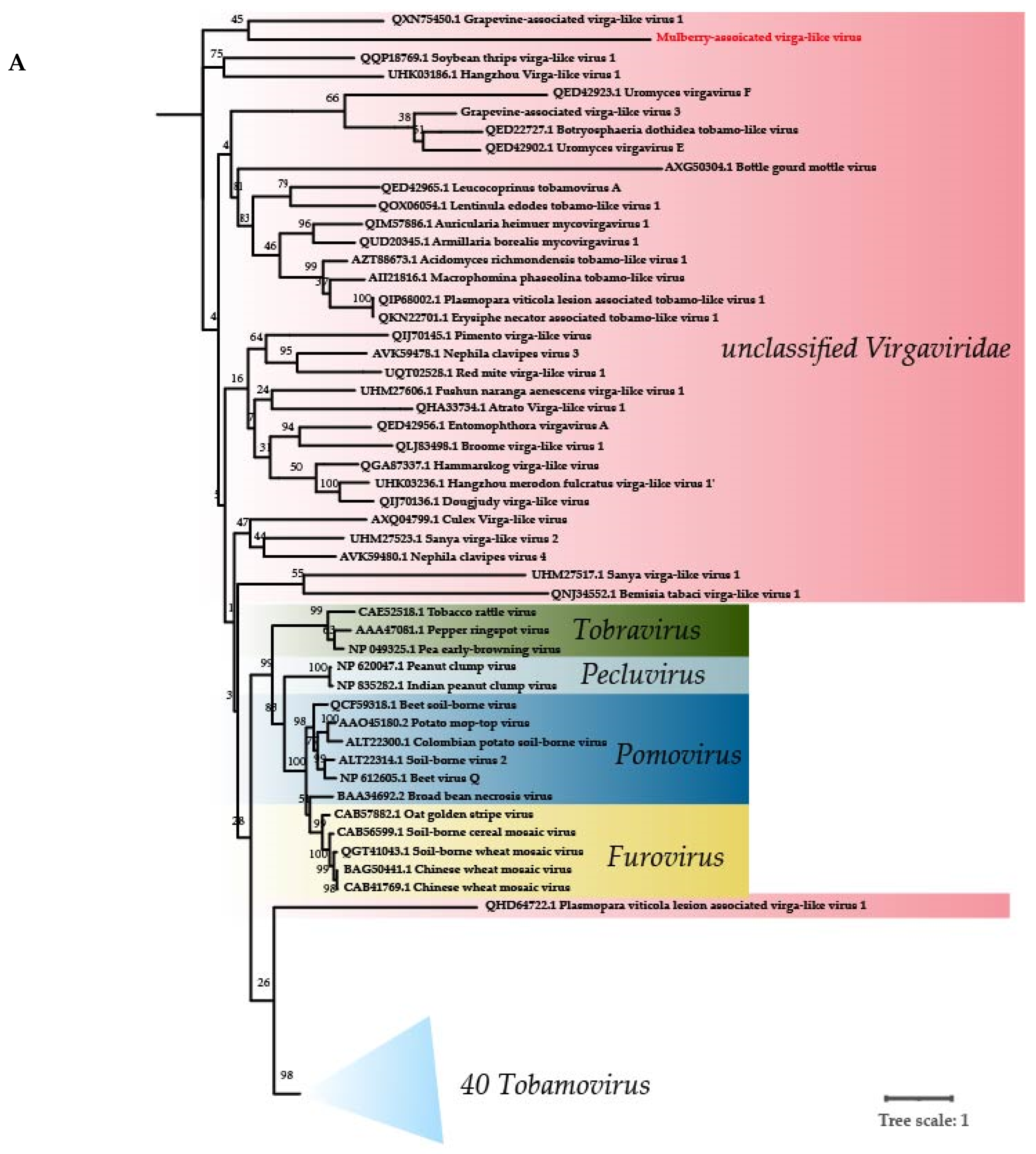 Viruses 14 02564 g003a Viruses 14 02564 g003a