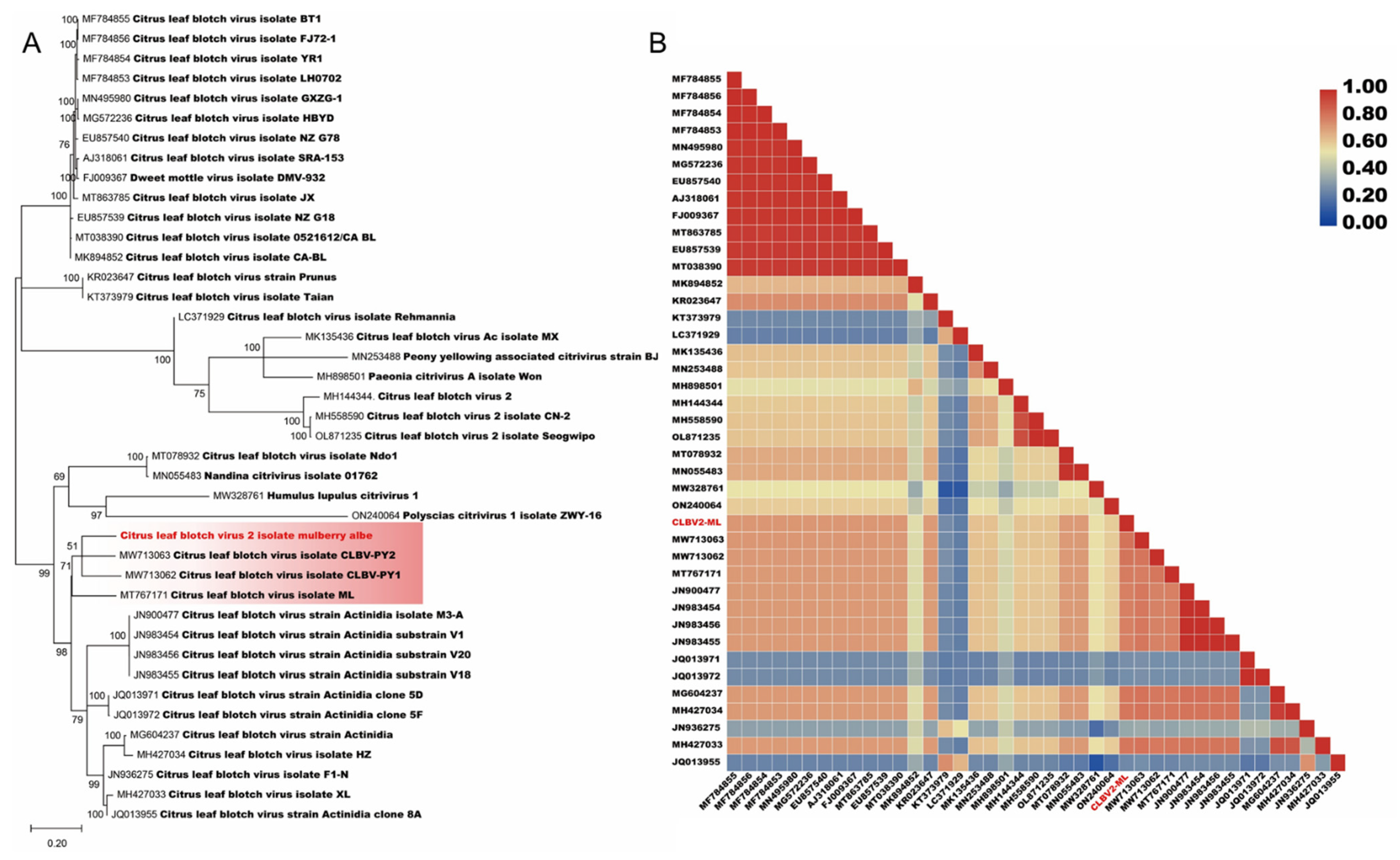 Viruses 14 02564 g004 Viruses 14 02564 g004