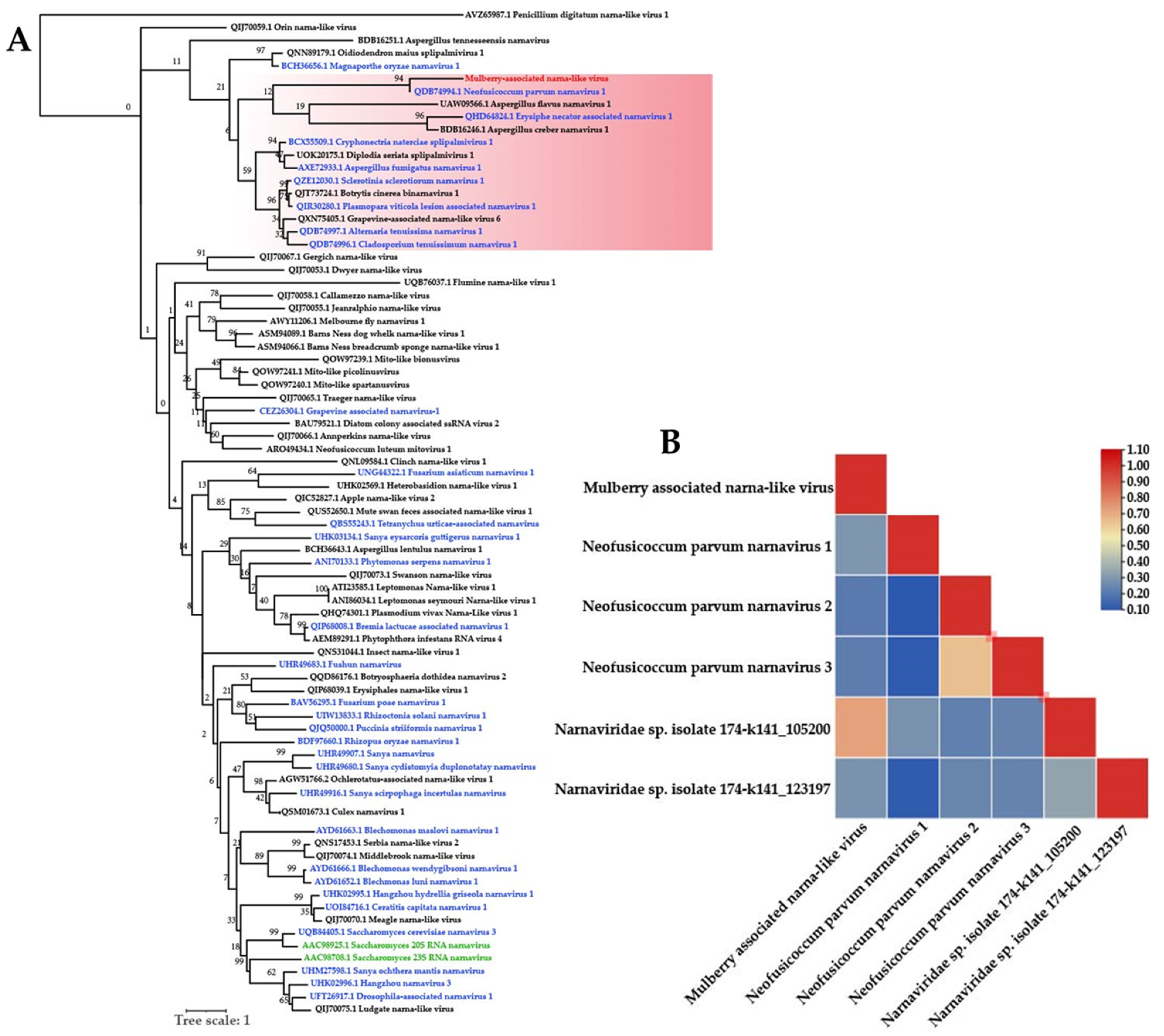 Viruses 14 02564 g005 Viruses 14 02564 g005