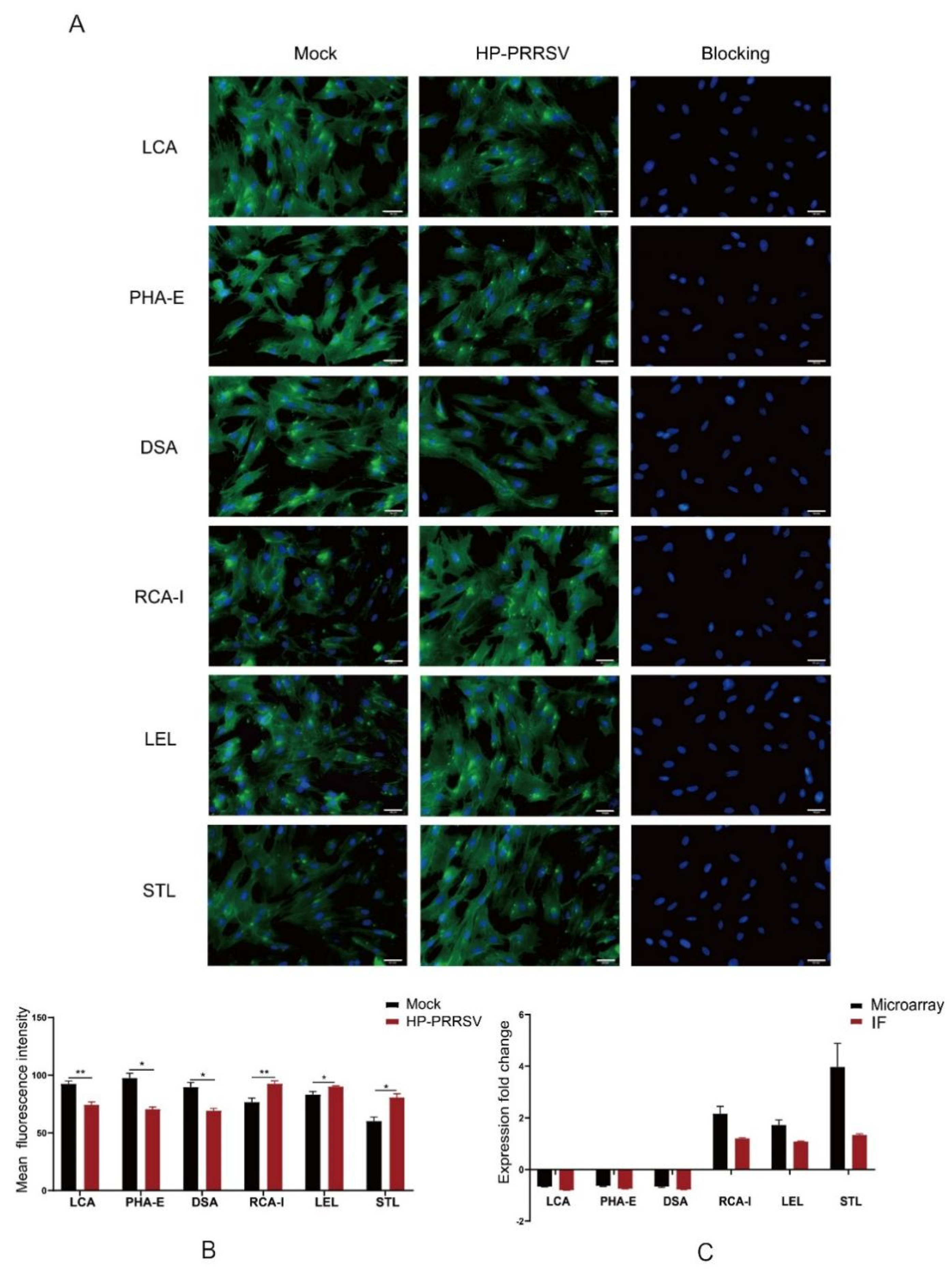 Viruses 14 02569 g007