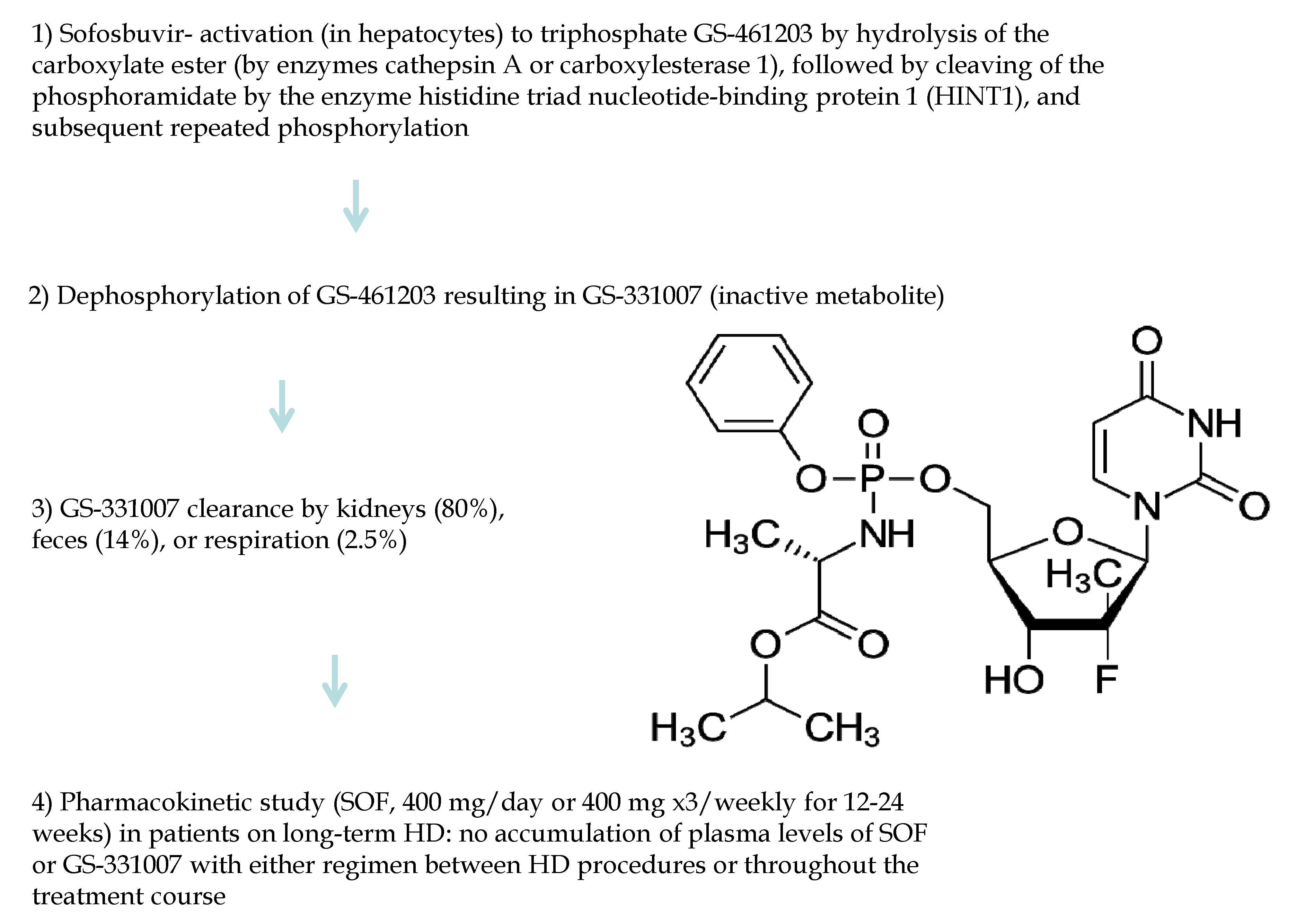 Viruses 14 02570 g002 Viruses 14 02570 g002
