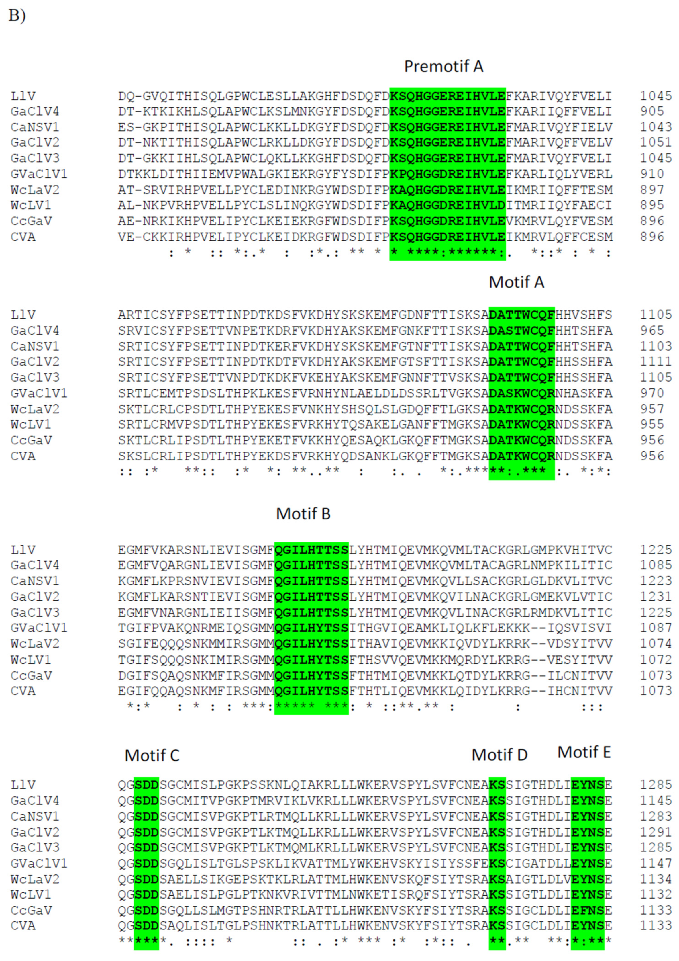 Viruses 14 02572 g005b Viruses 14 02572 g005b