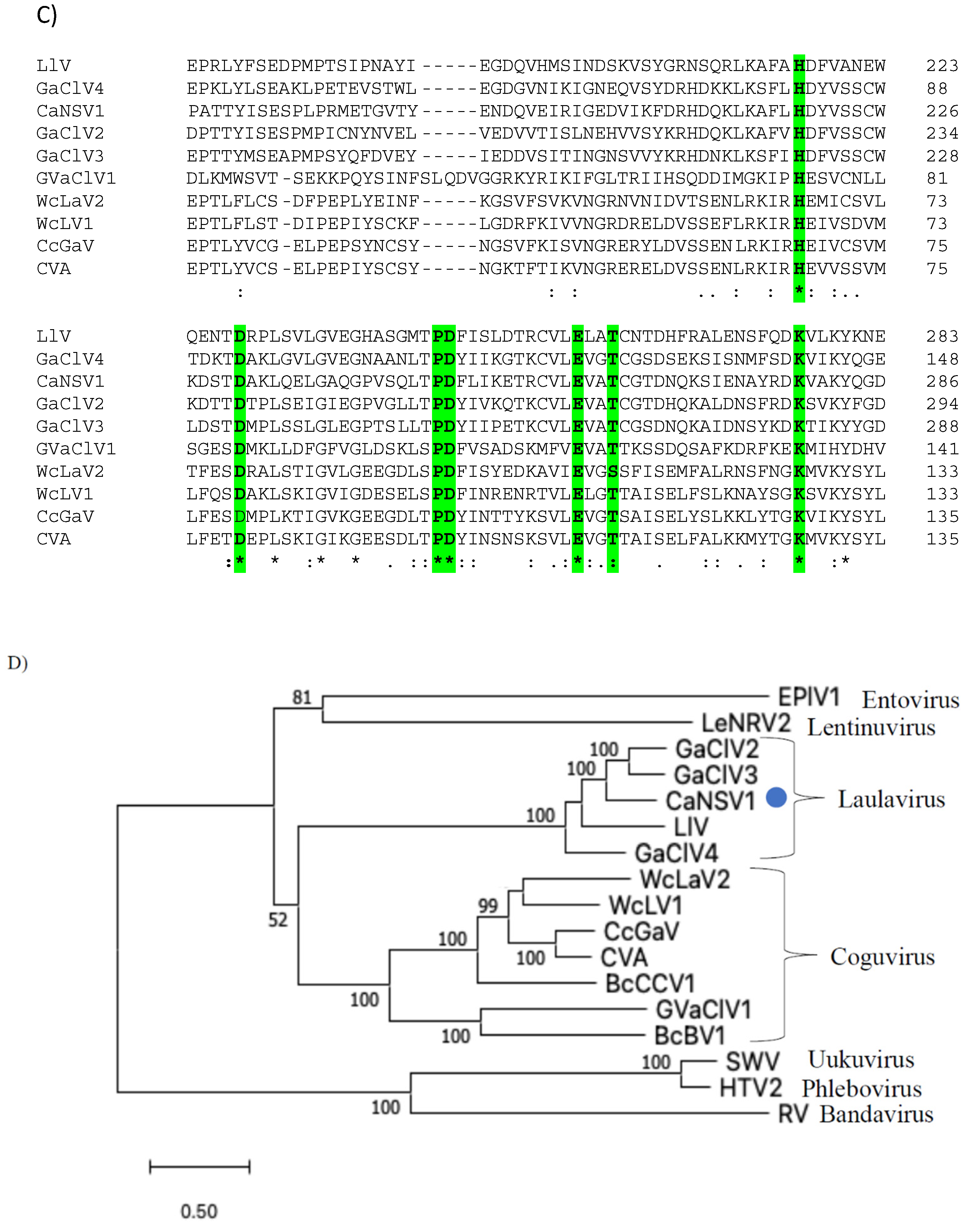 Viruses 14 02572 g005c Viruses 14 02572 g005c