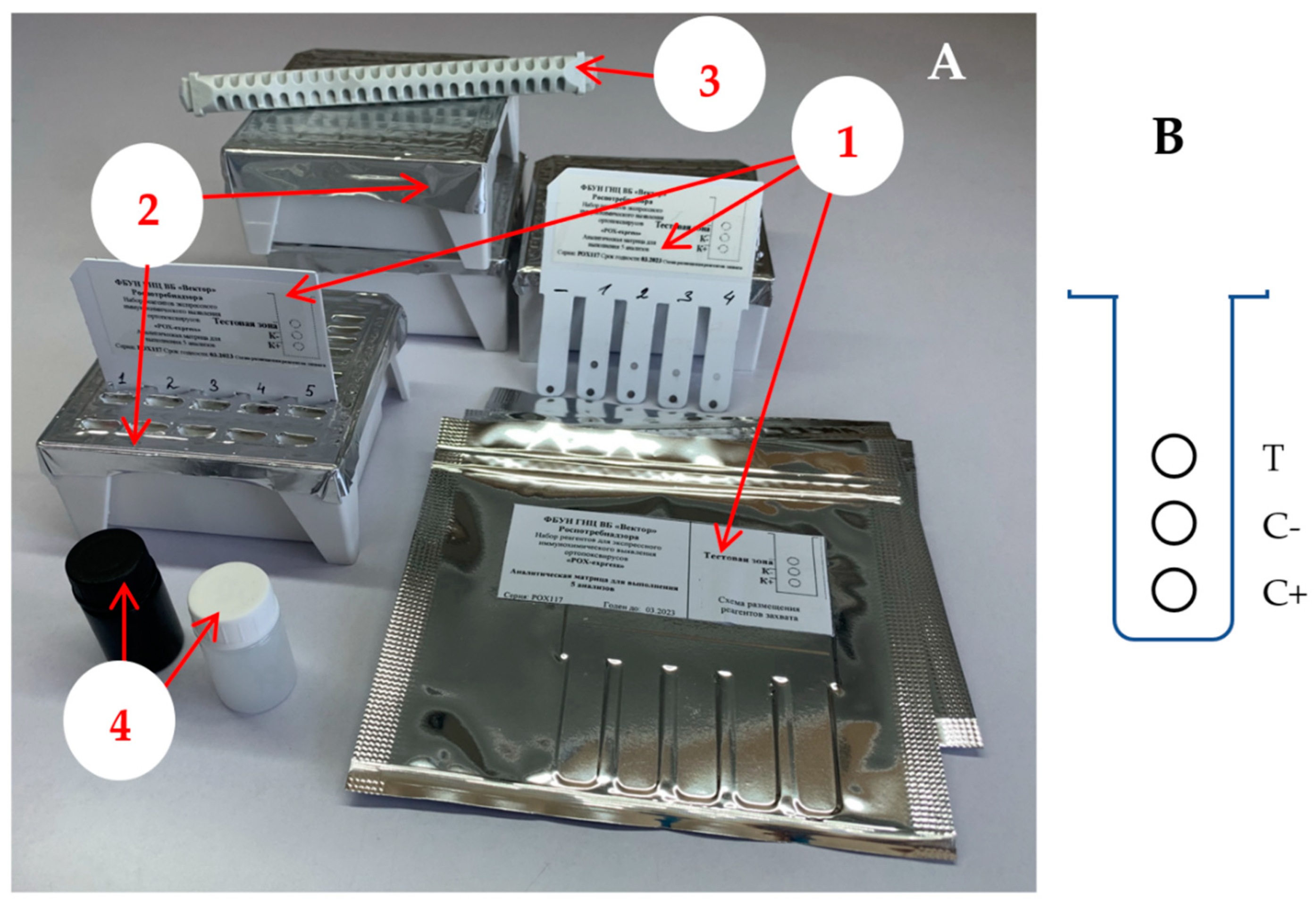 Viruses 14 02580 g001 Viruses 14 02580 g001