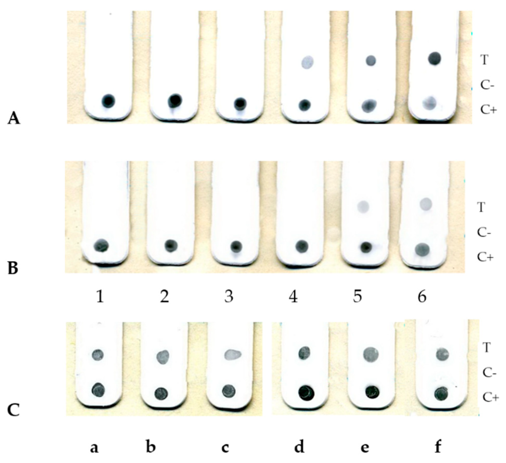 Viruses 14 02580 g004 Viruses 14 02580 g004