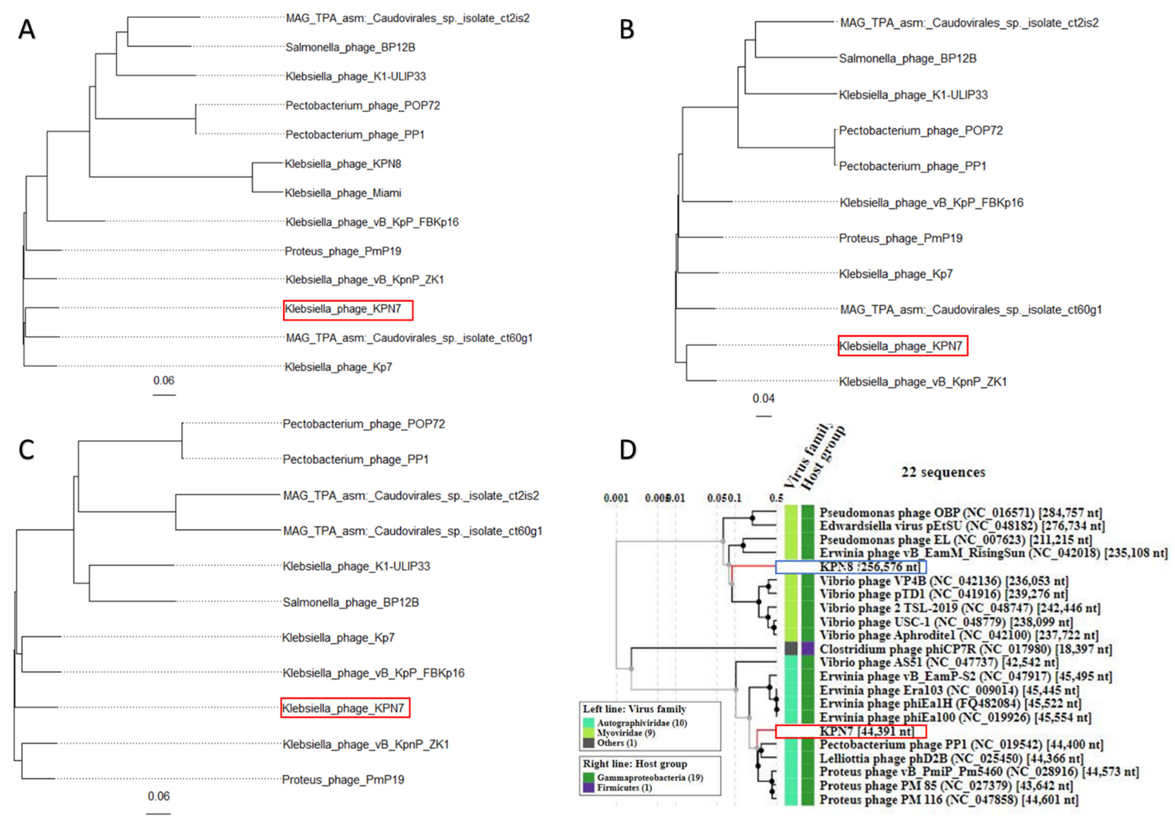 Viruses 14 02582 g002 Viruses 14 02582 g002