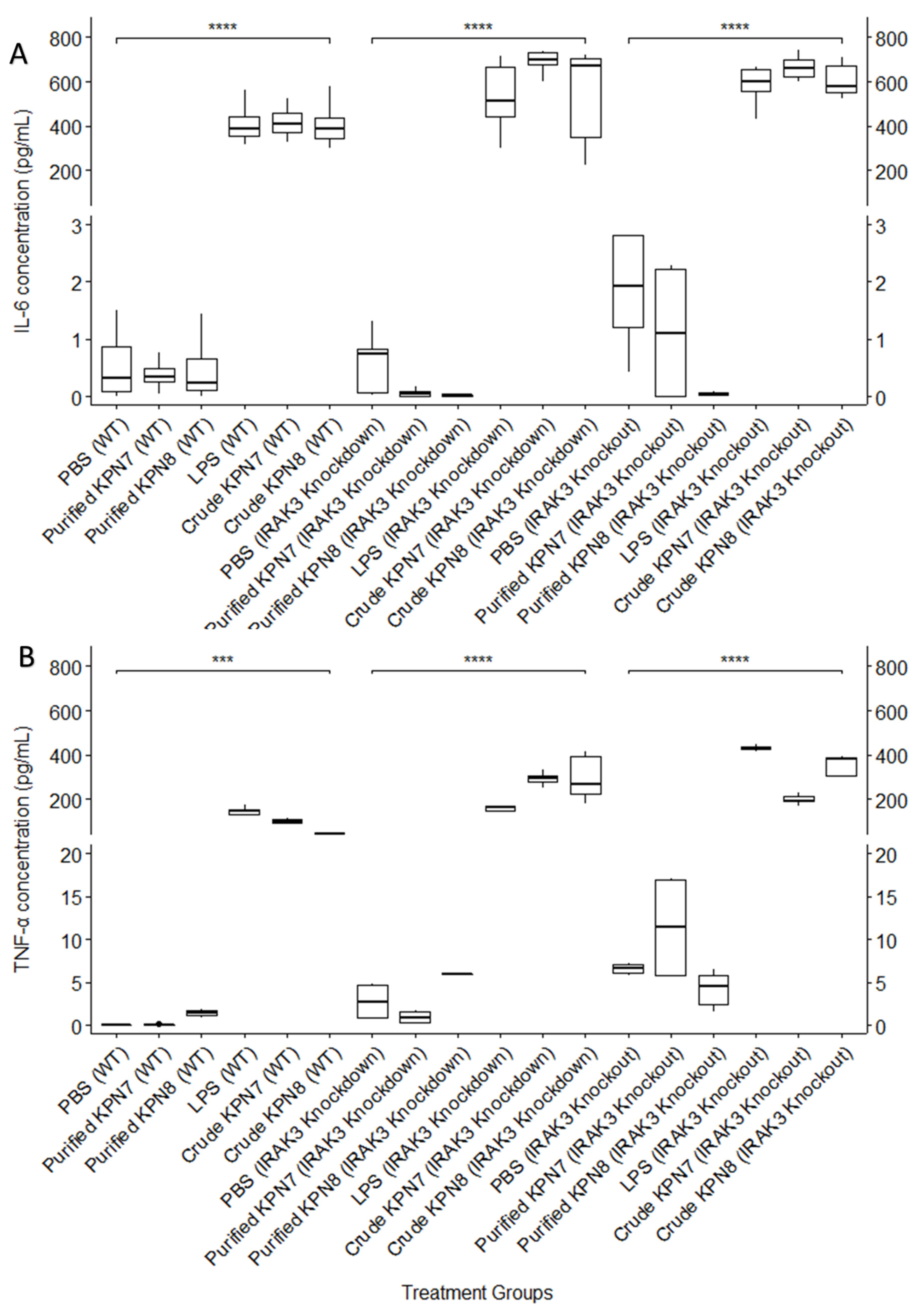 Viruses 14 02582 g003 Viruses 14 02582 g003