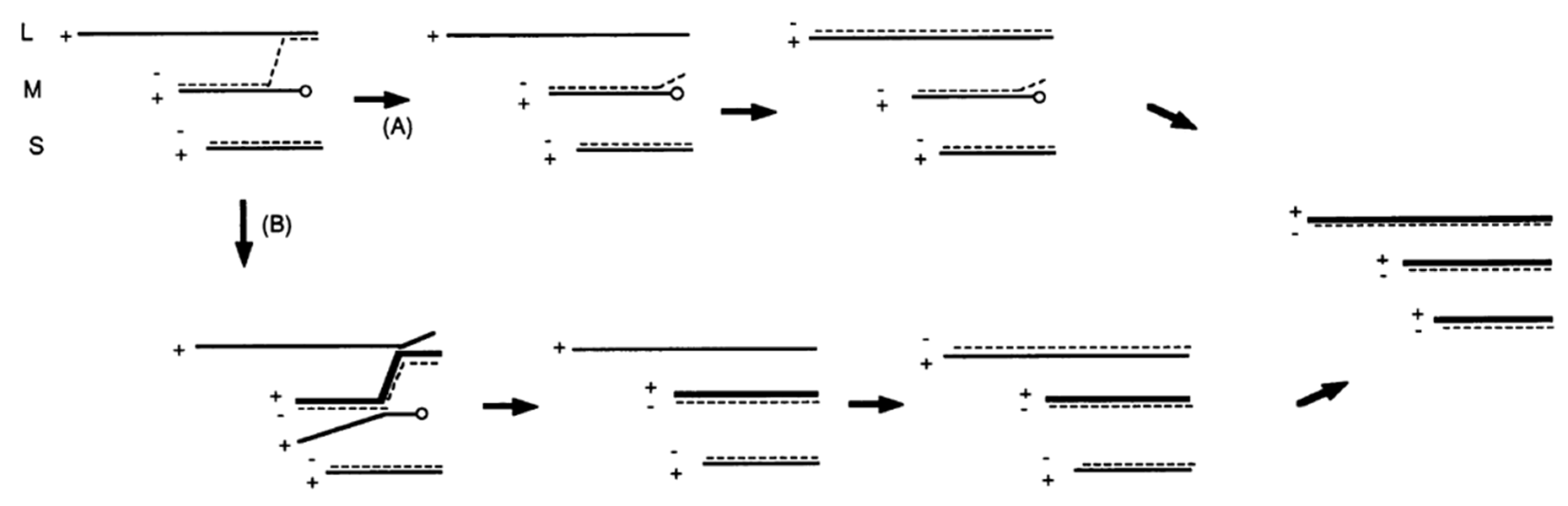 Viruses 14 02589 g006 Viruses 14 02589 g006