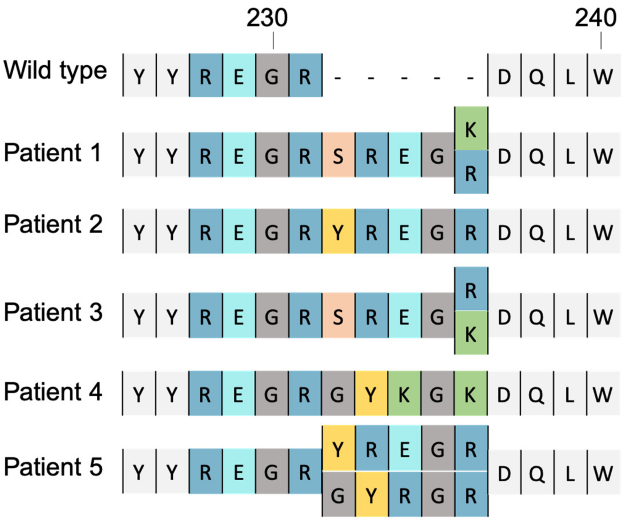 Viruses 14 02591 g004