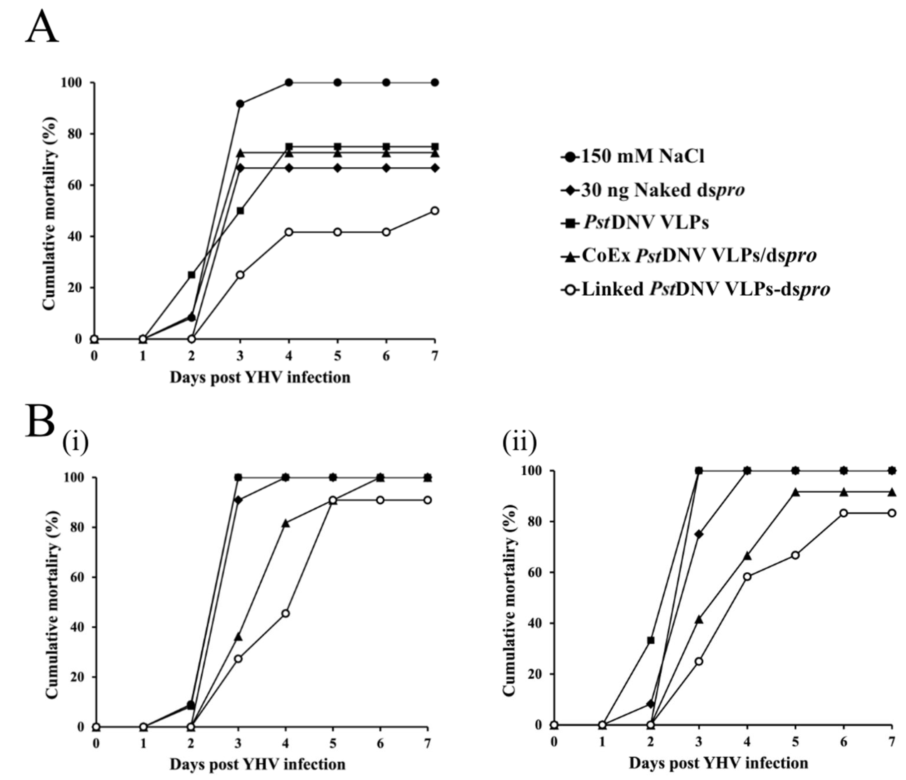 Viruses 14 02594 g004 Viruses 14 02594 g004