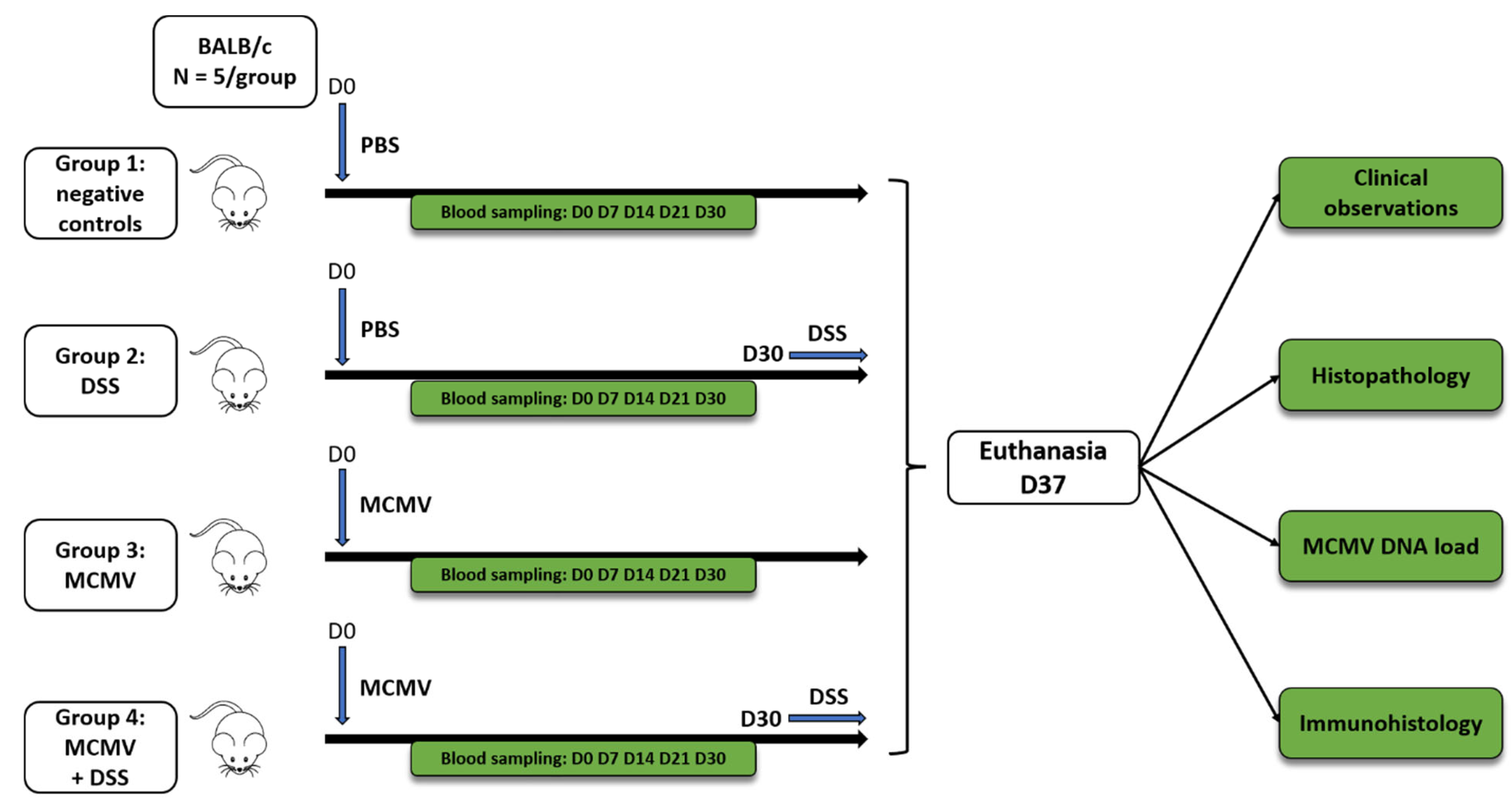 Viruses 14 02595 g001 Viruses 14 02595 g001