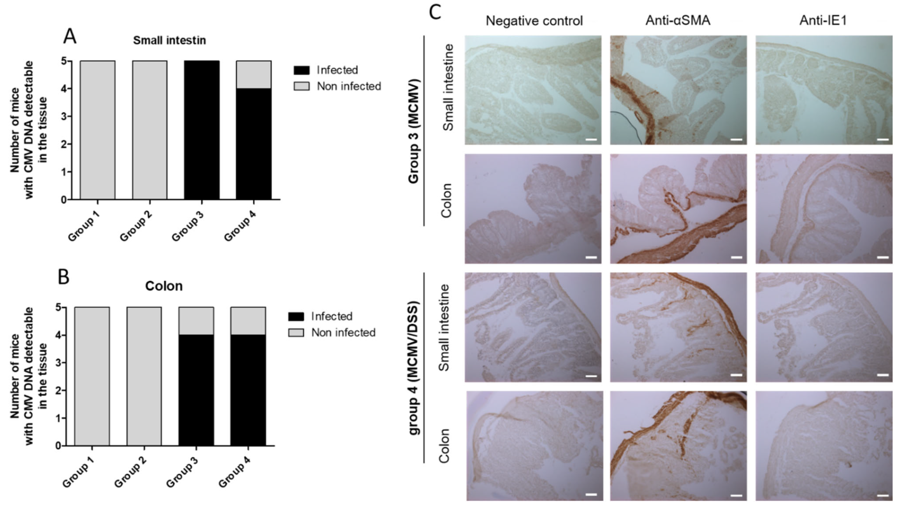 Viruses 14 02595 g004 Viruses 14 02595 g004