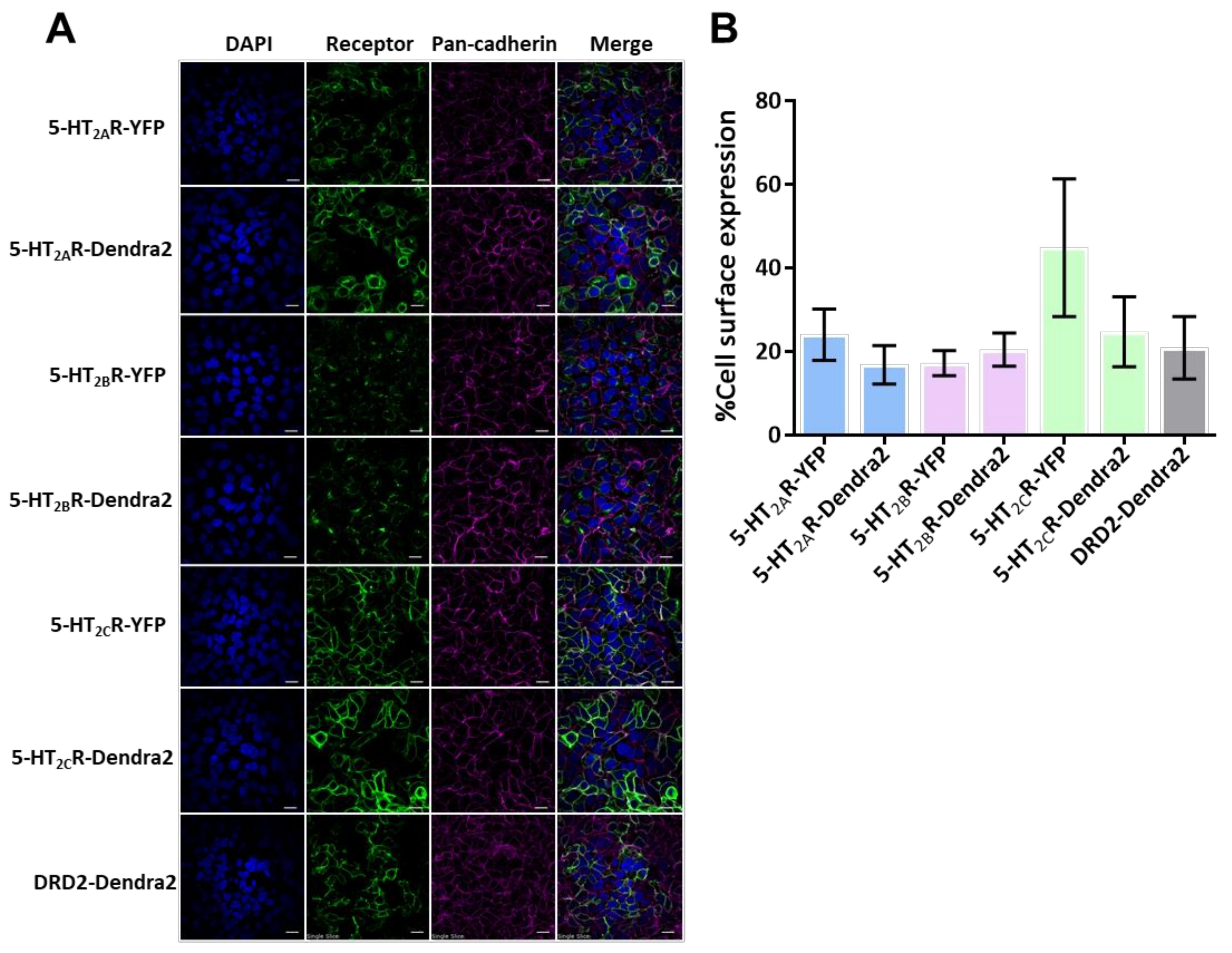 Viruses 14 02597 g001 Viruses 14 02597 g001
