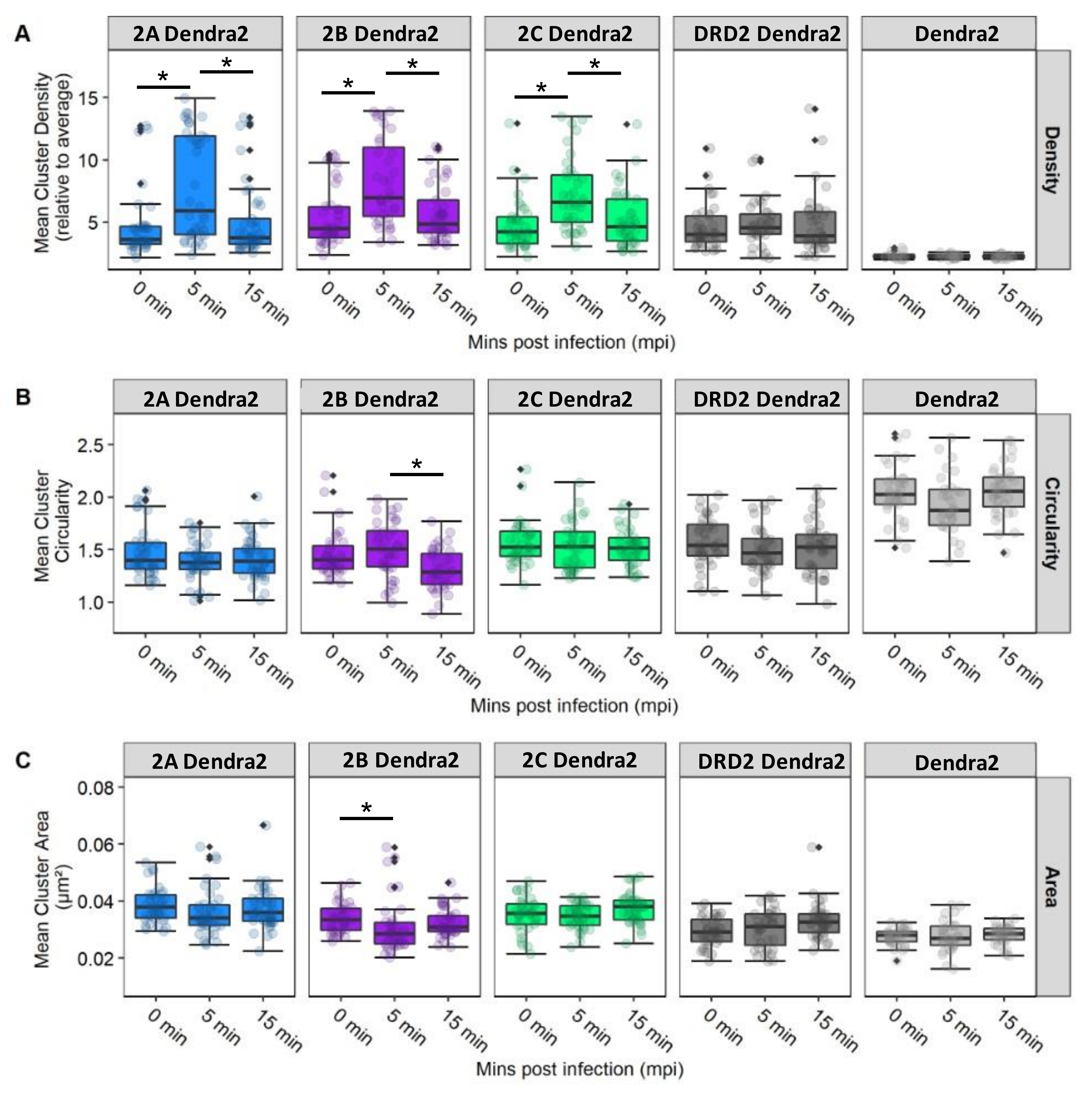 Viruses 14 02597 g006 Viruses 14 02597 g006